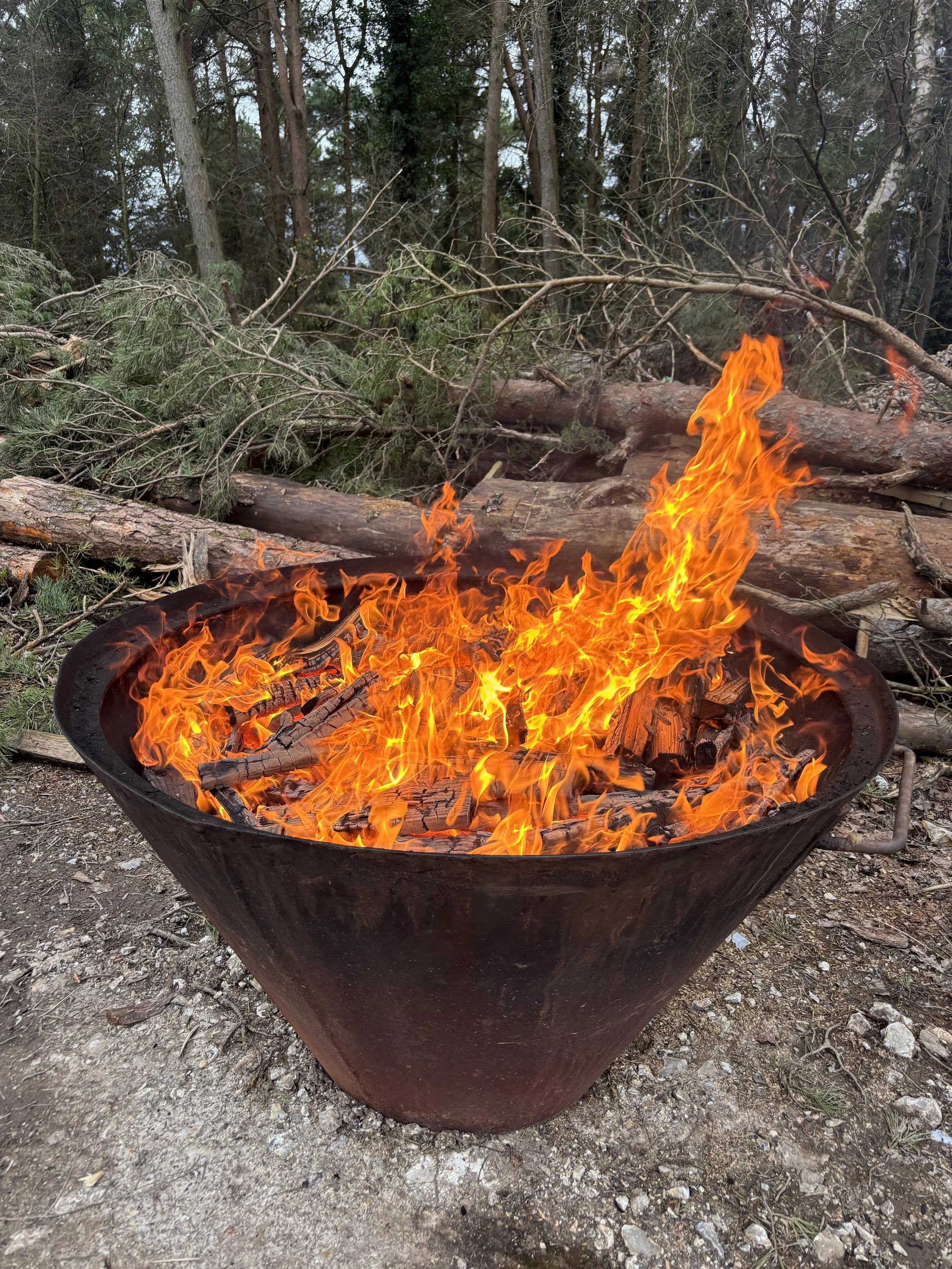 A Kon-Tiki biochar kiln with bright flames, surrounded by fallen branches and pine trees in a wooded area.