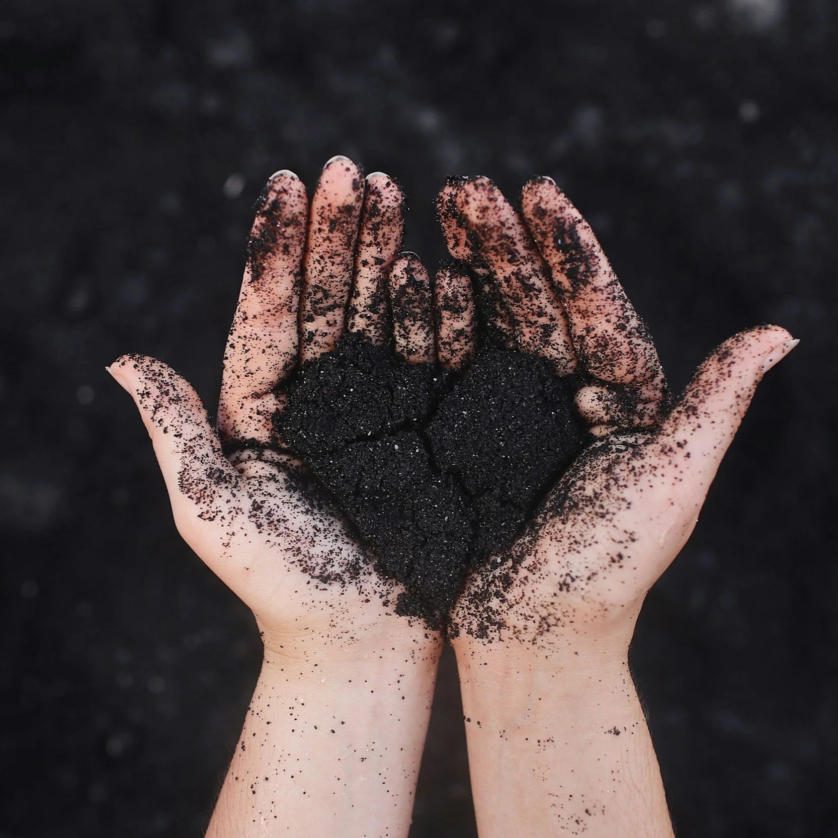 A hand covered with biochar, holding a pile of biochar.