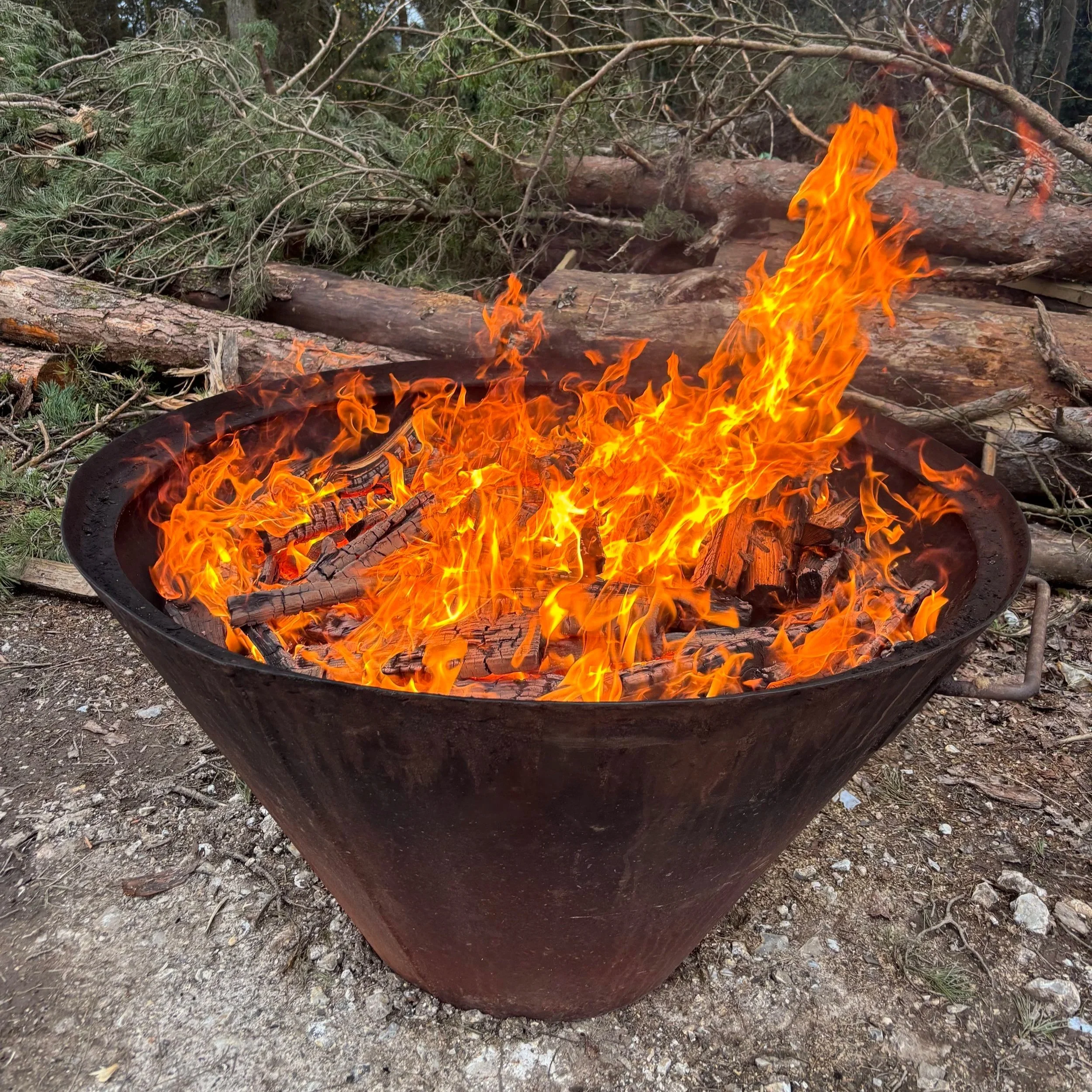 A fire burning in a large Kon-Tiki open biochar kiln, surrounded by fallen tree branches and pine trees.