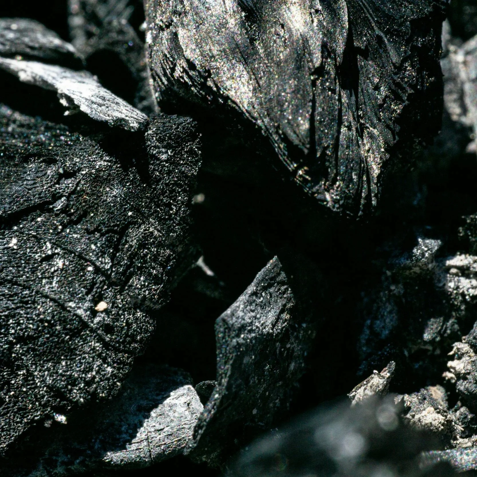 Close-up of blackened, biochar with a rough and uneven texture, some parts reflecting light, giving a shimmering effect.