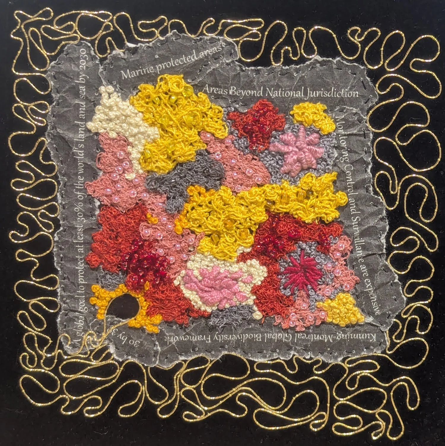 Marine Protected Areas