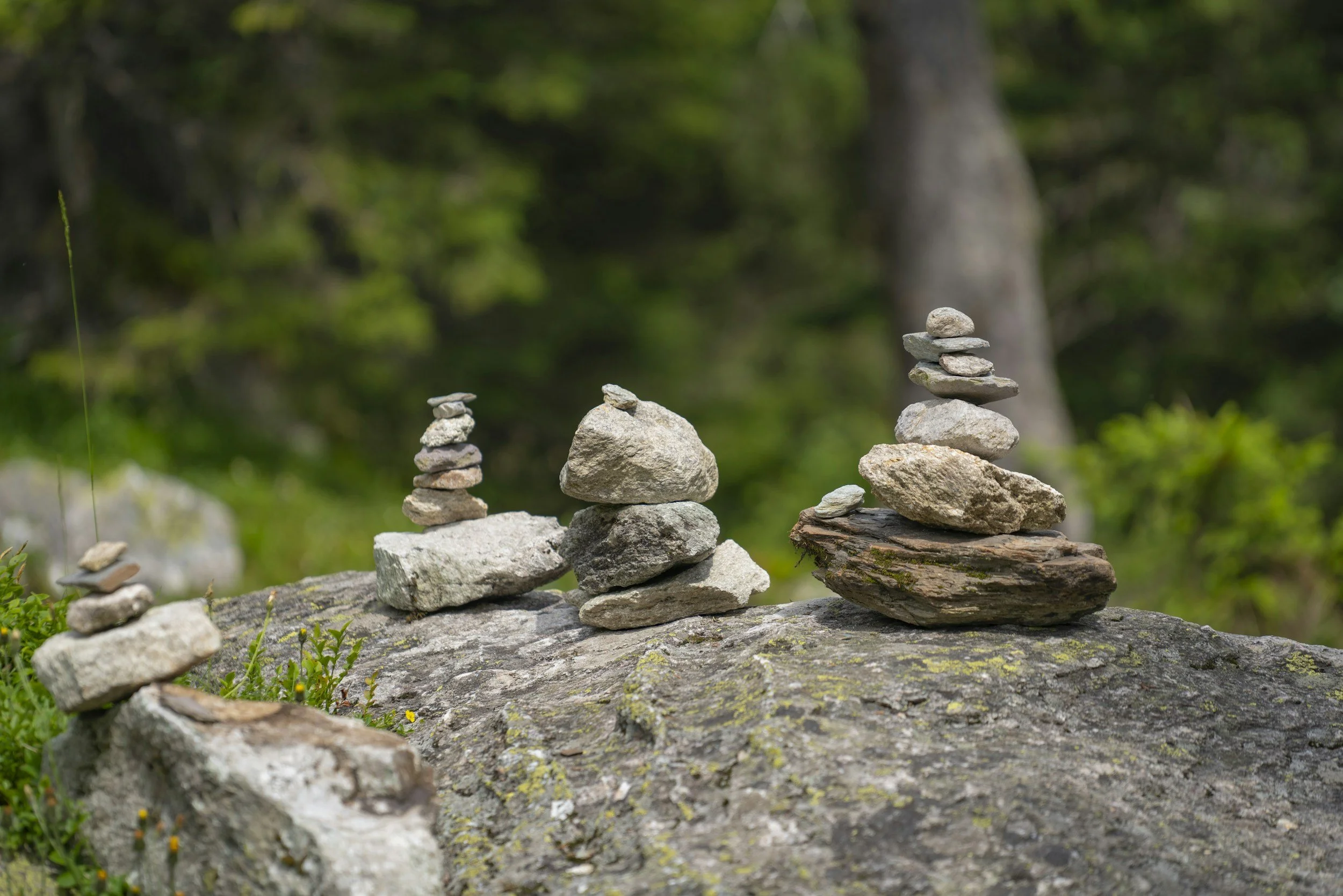 find dig selv, udvikling, helbred, mental klarhed, add, diagnose