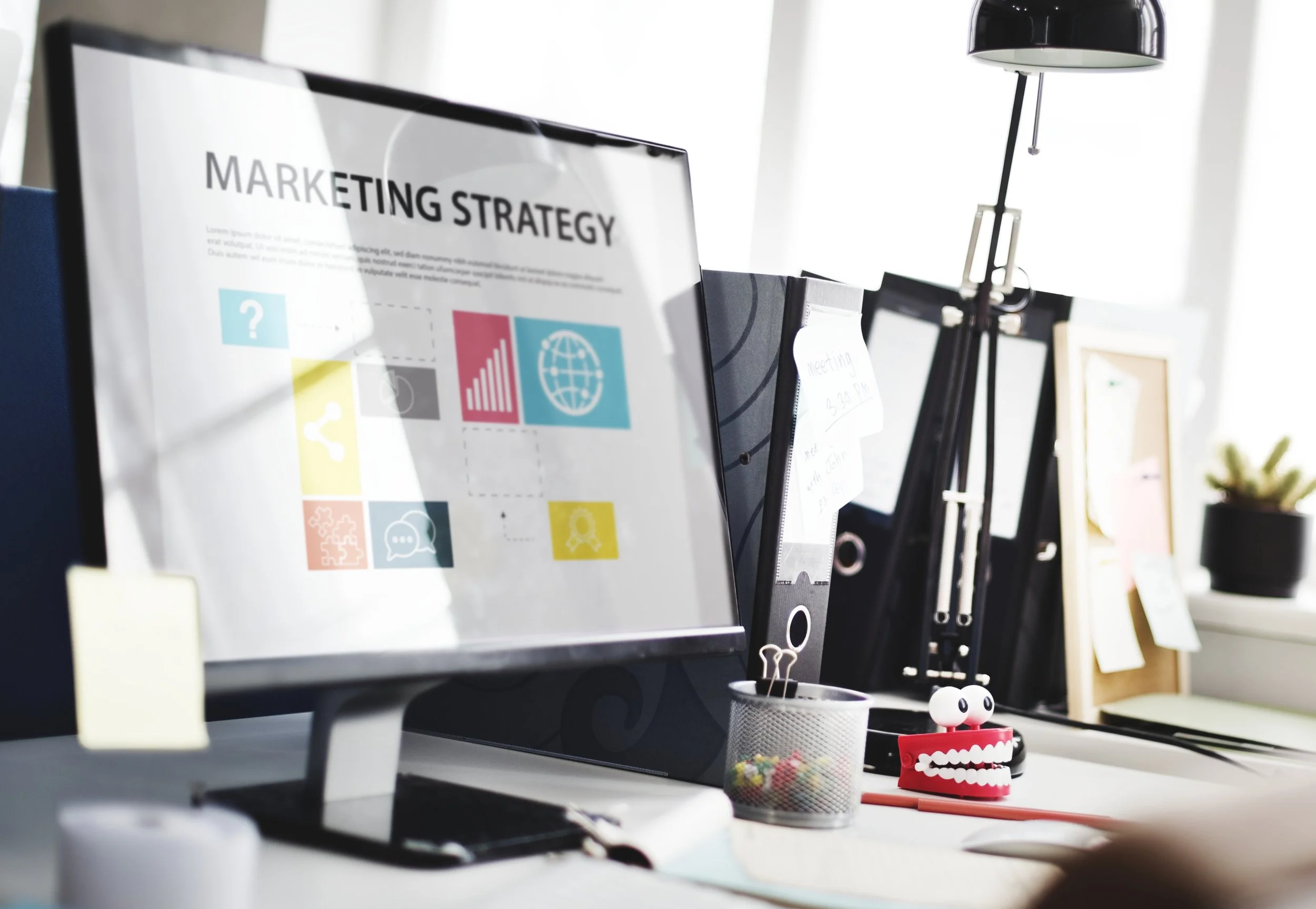 Marketing & Brand Development