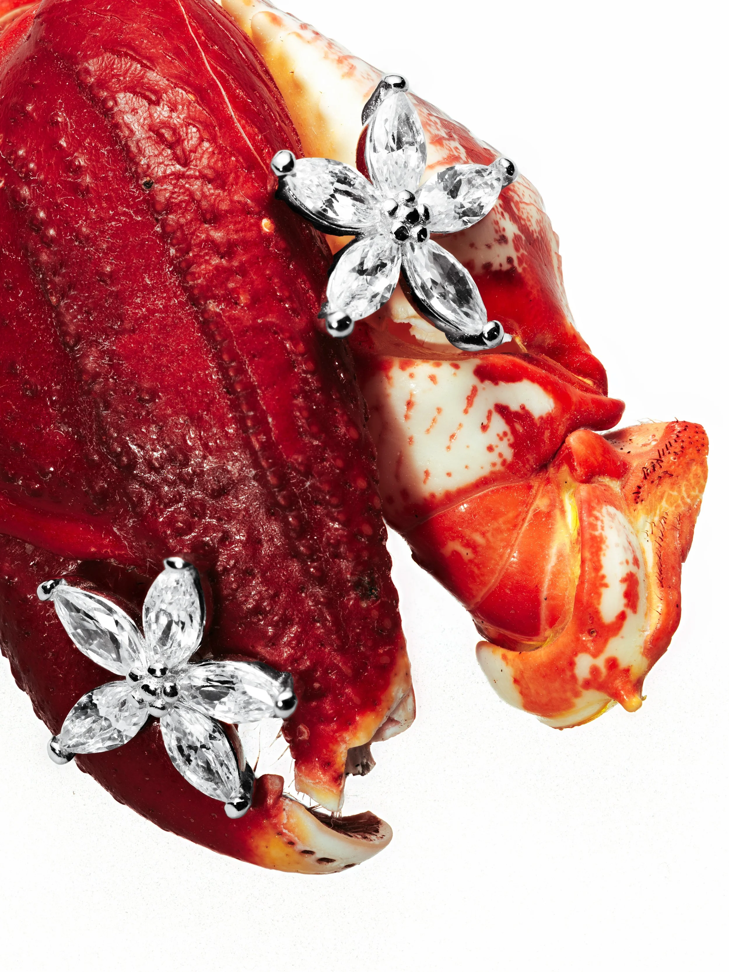 2025-11-23 16-04-40 (B,R2,S1).jpg