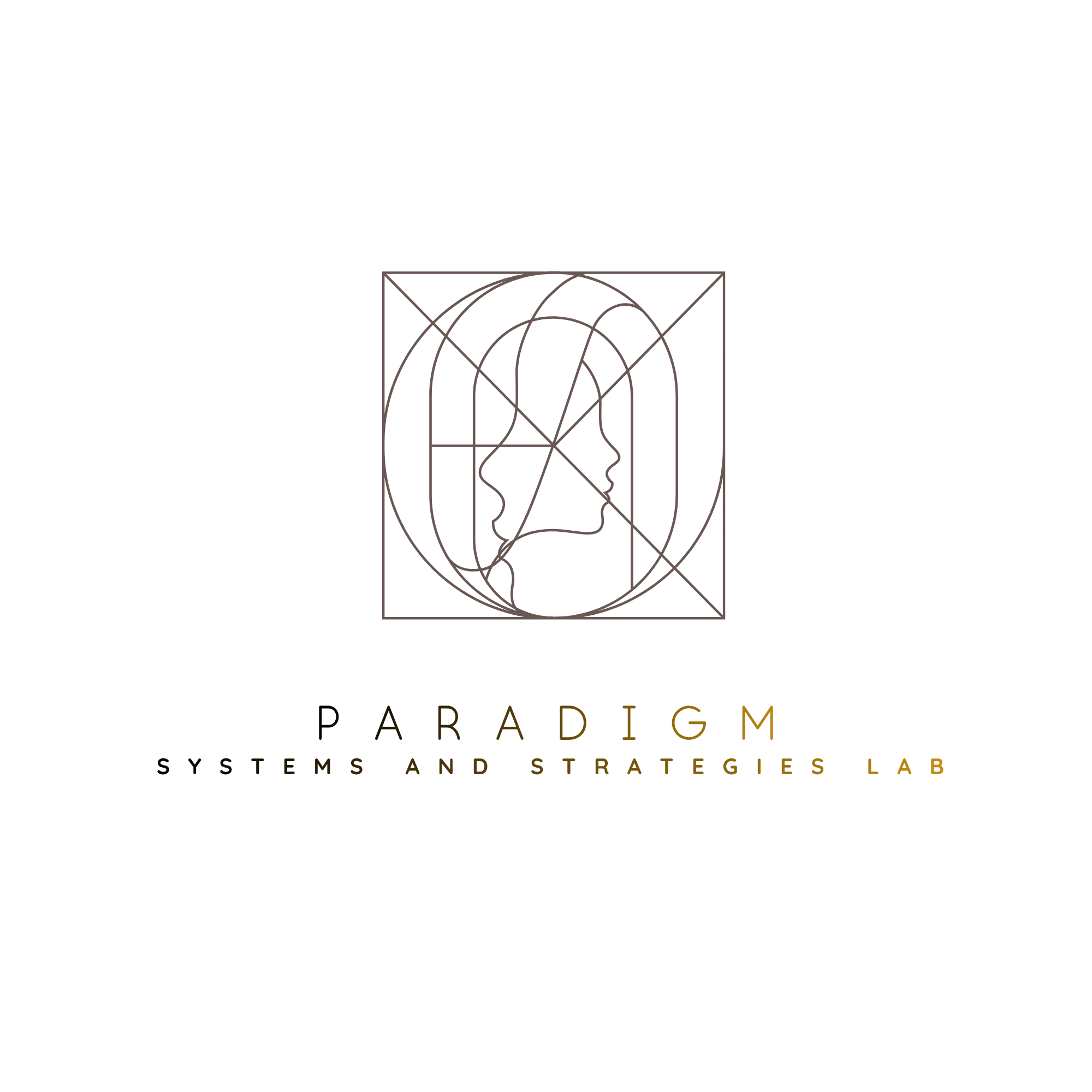 Paradigm: The Systems and Strategies Lab