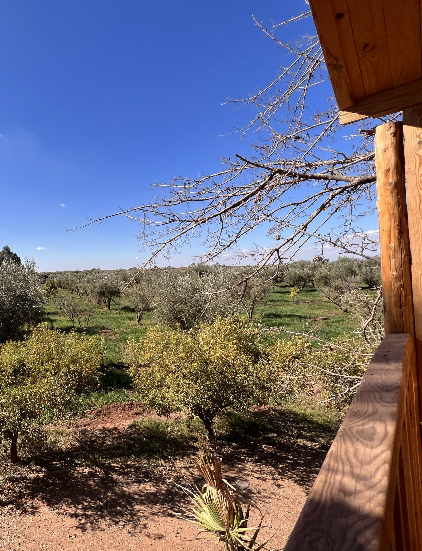 Skjermbilde 2025-11-08 kl. 20.17.08.png