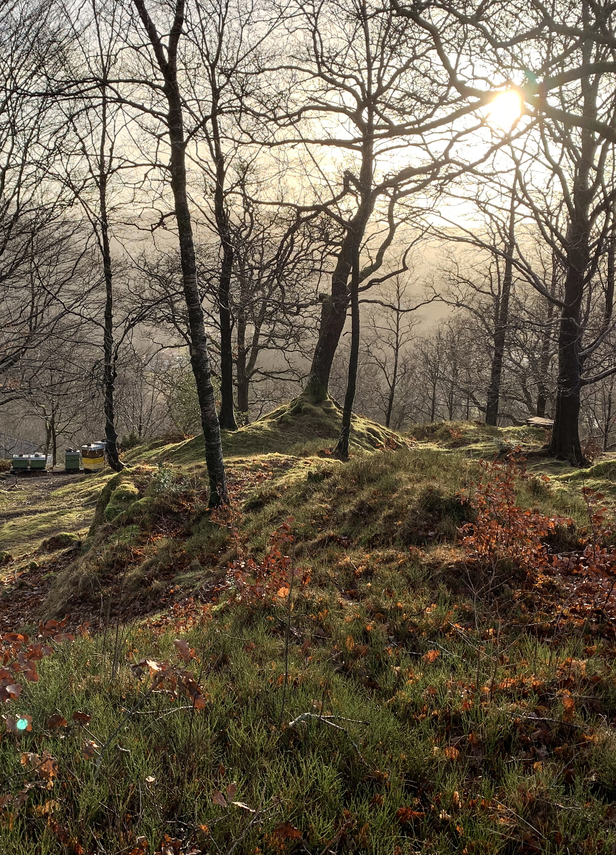 Skjermbilde 2025-11-12 kl. 10.17.22.png