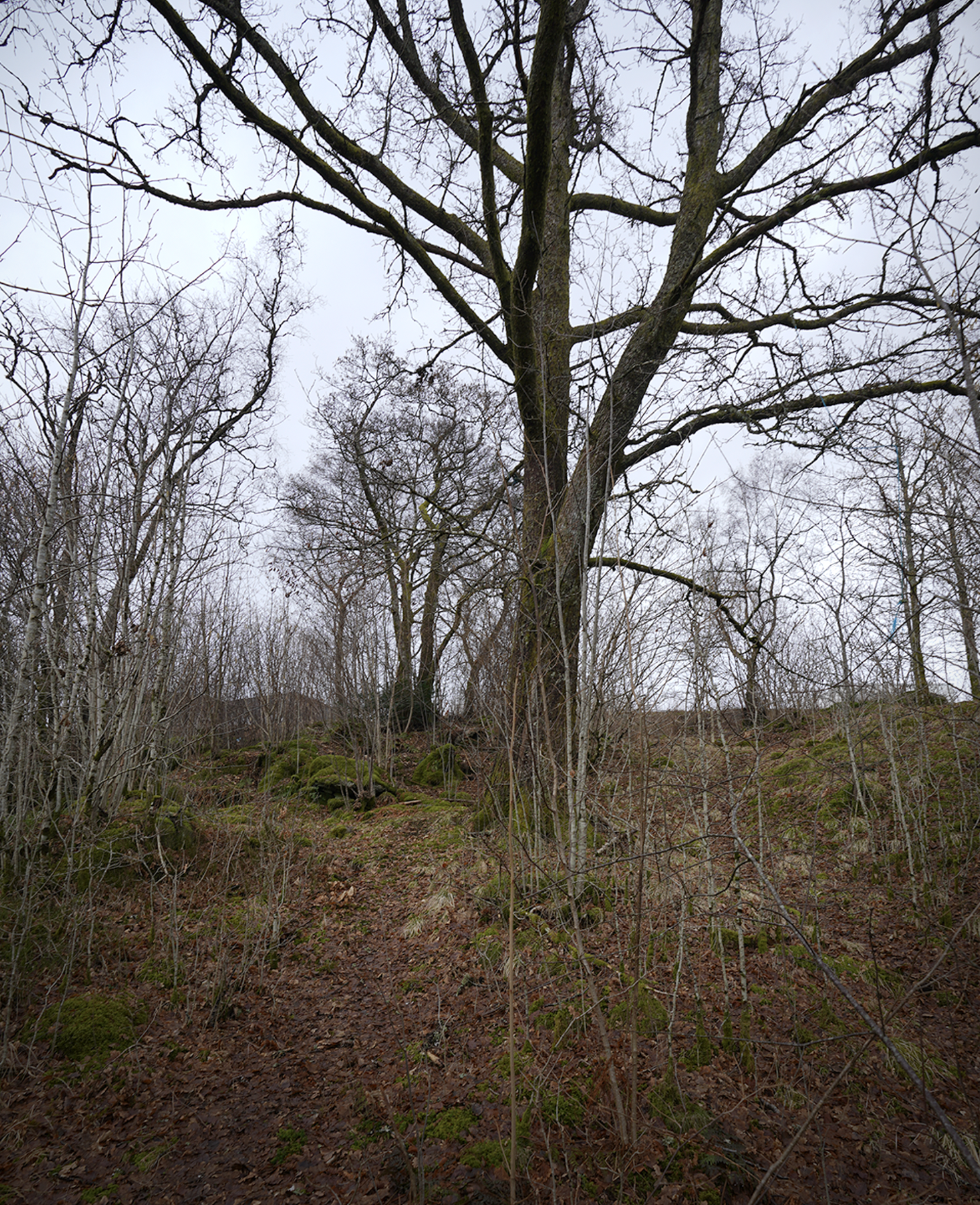 Skjermbilde 2025-11-12 kl. 15.06.04.png