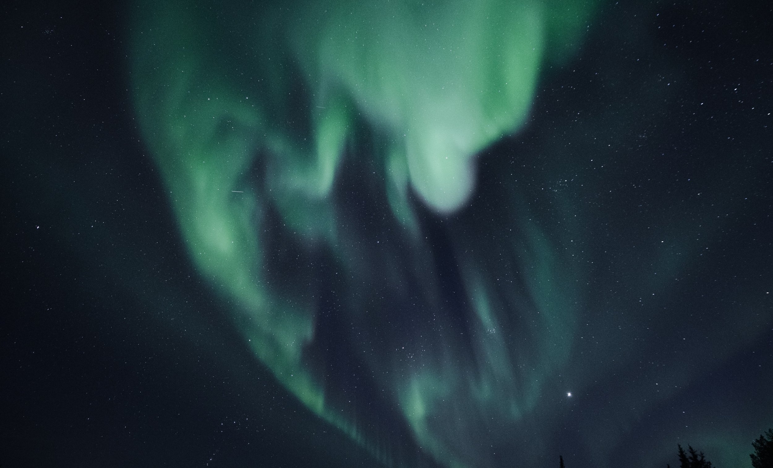 Northern lights (aurora borealis) glow green in a starry night sky.