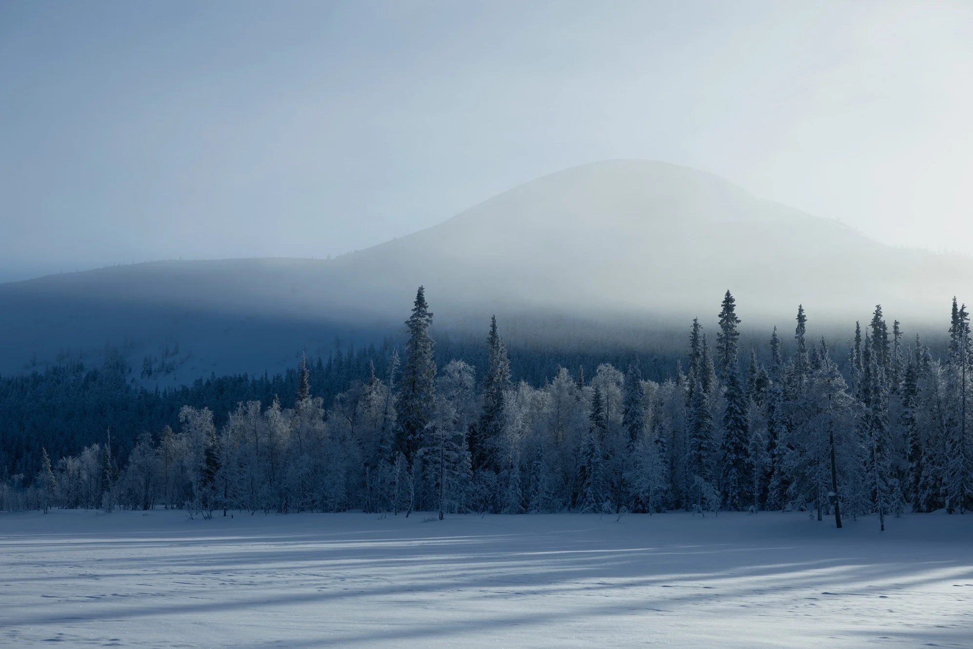 Snow-covered forest and mountain landscape with fog and clear sky.