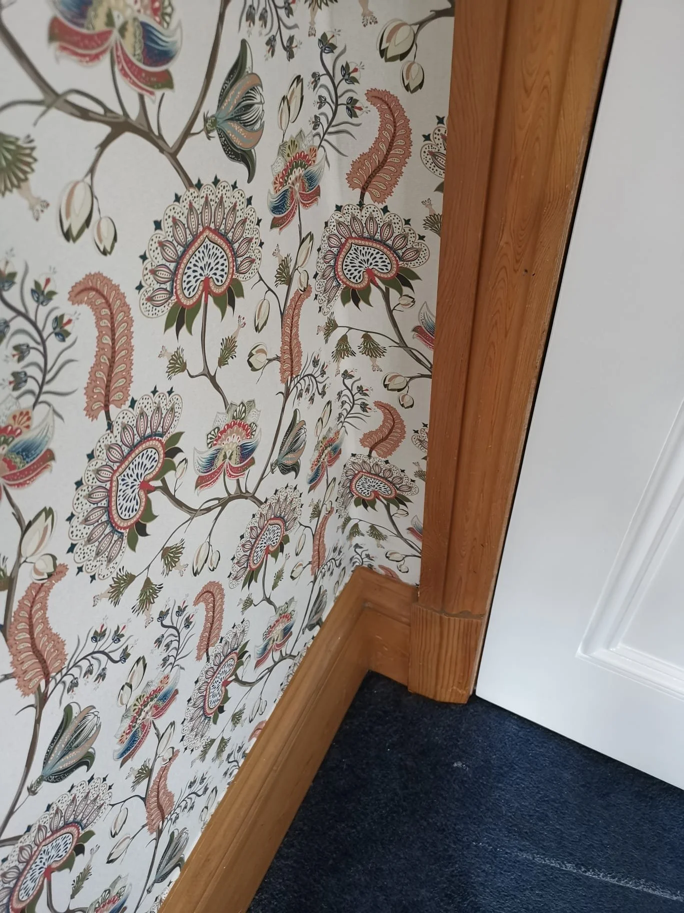 PHOTO-2025-10-30-19-41-38 (1) (1).jpg