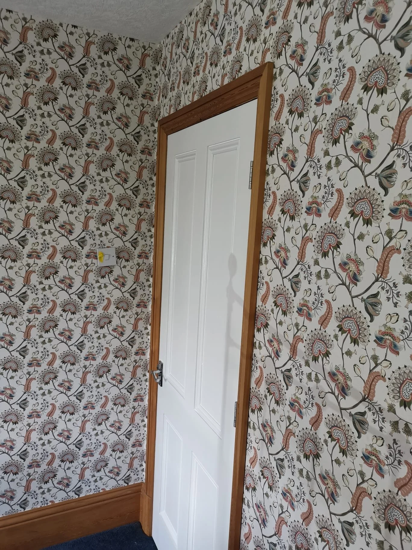 PHOTO-2025-10-30-19-41-39 (1).jpg