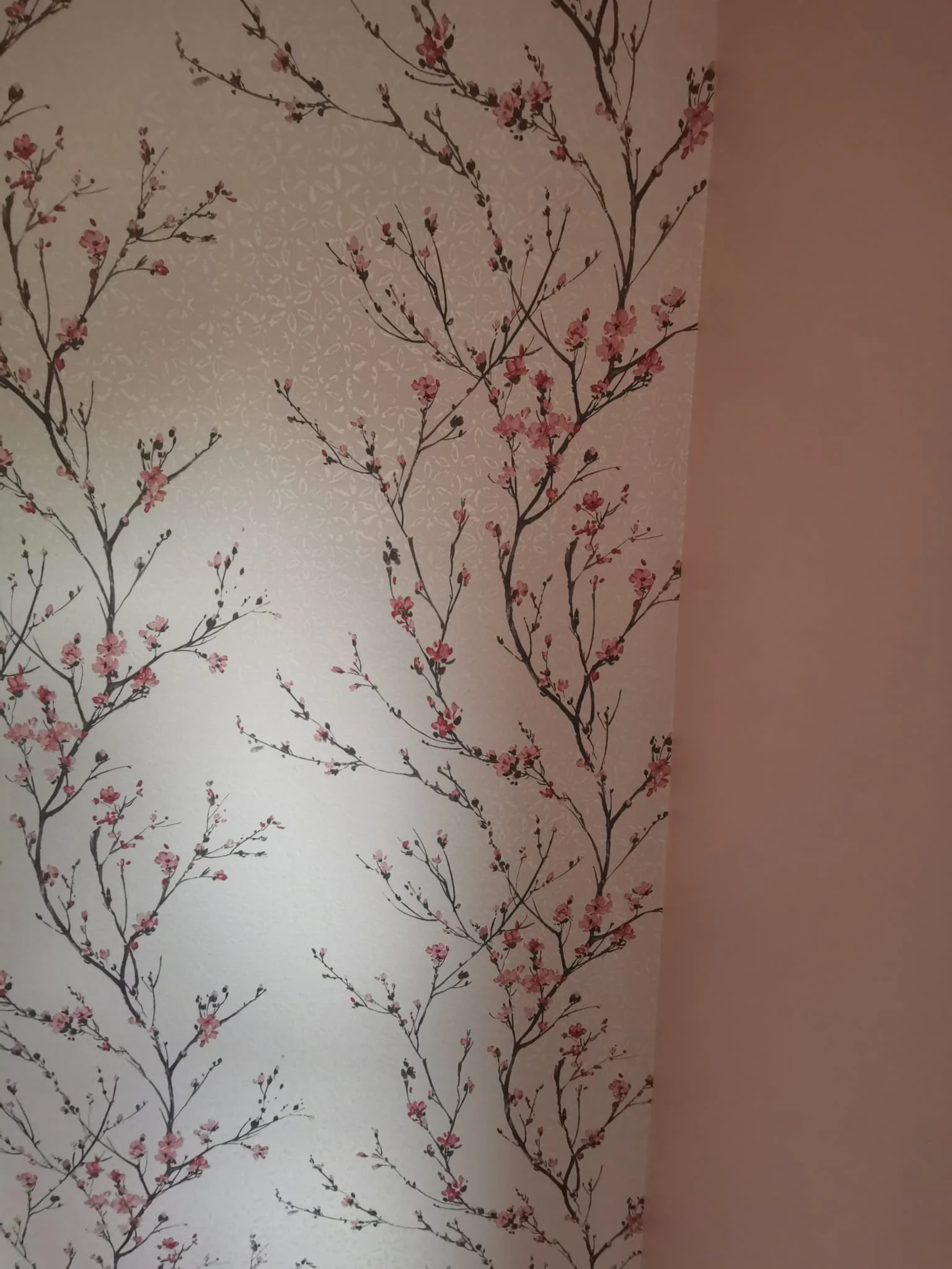 PHOTO-2025-10-30-19-54-50 (2).jpg