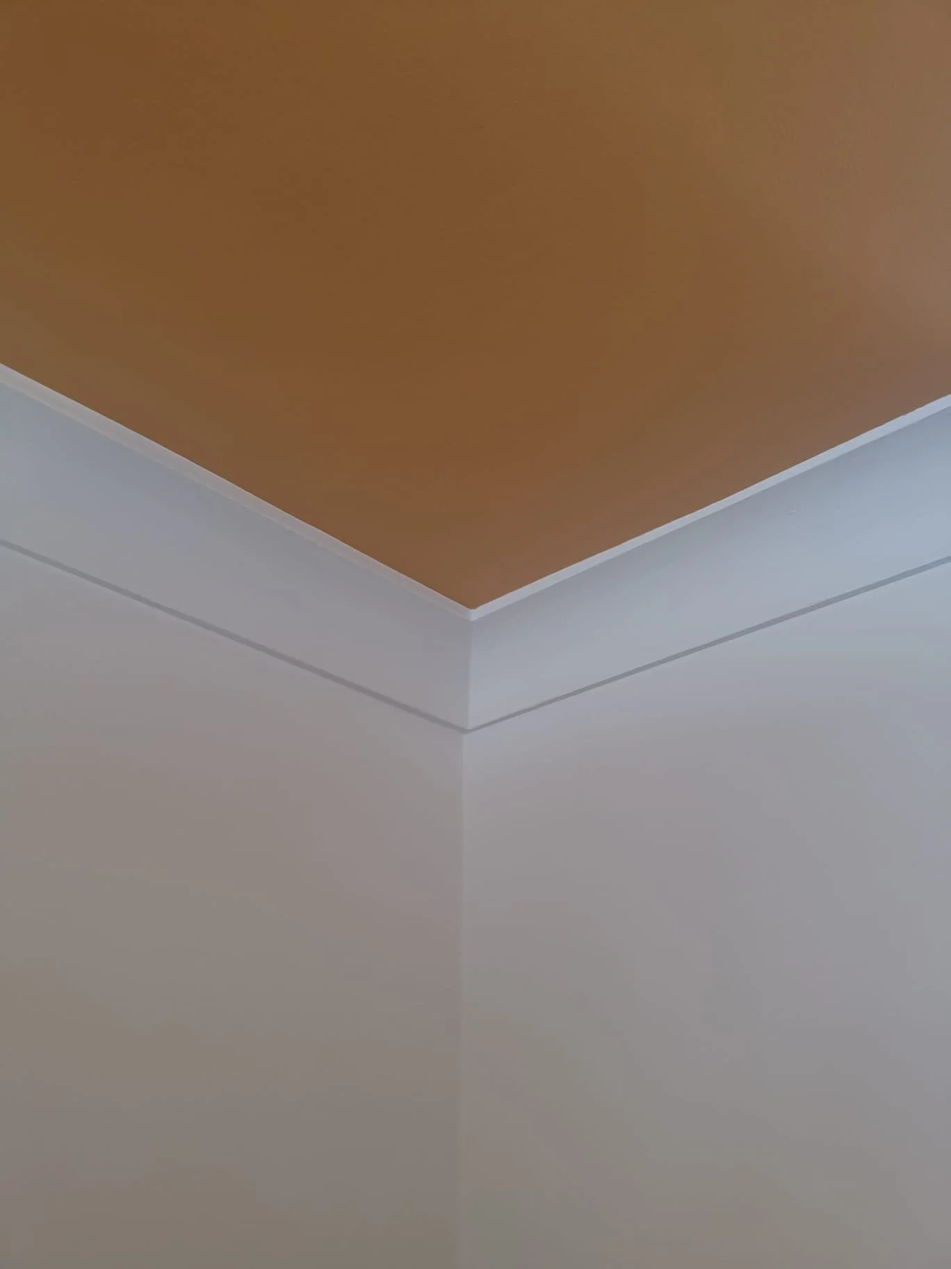 WhatsApp Image 2025-10-30 at 19.45.21_19f03c8b.jpg