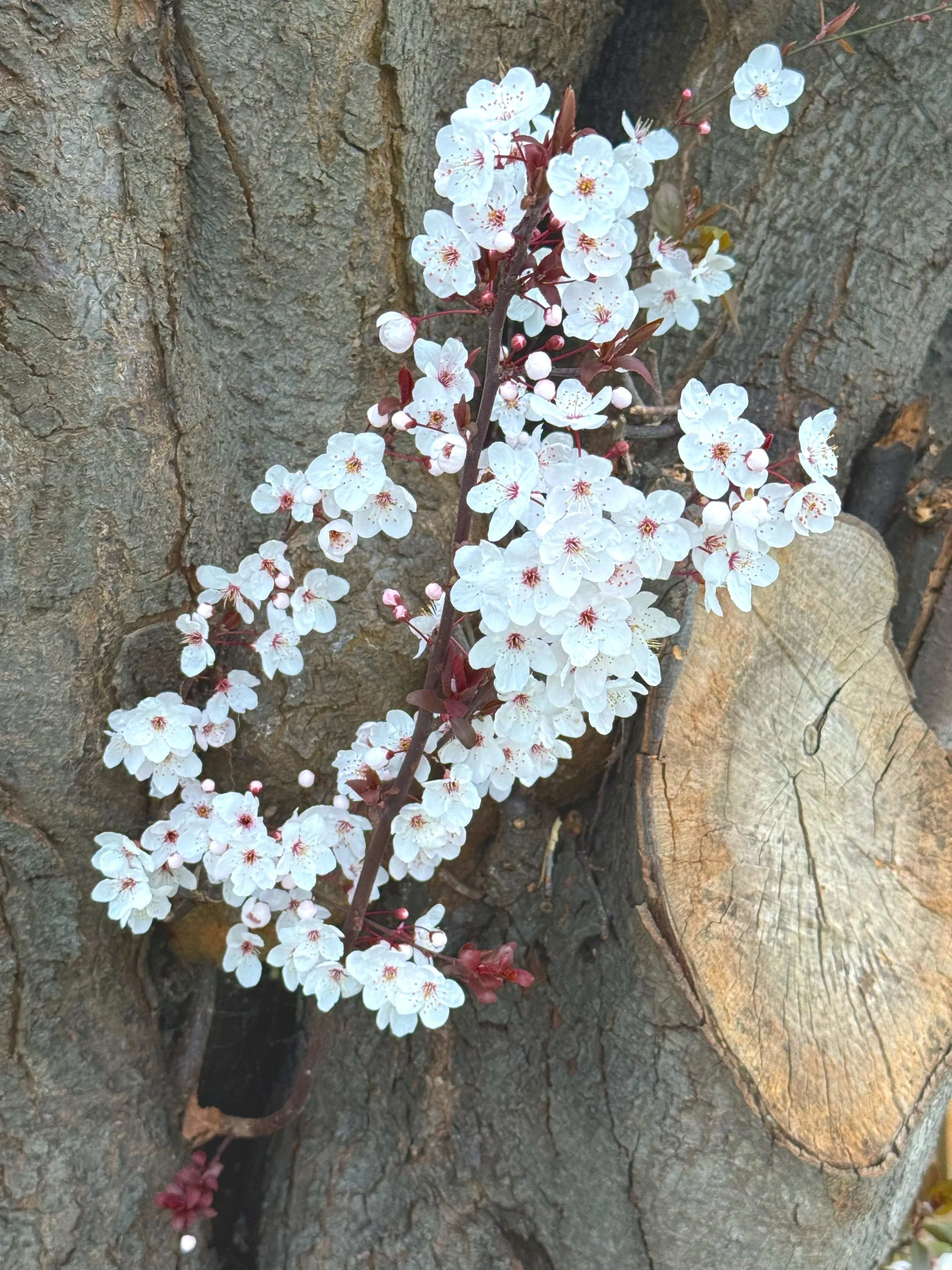 Perfect Bedding &amp; Meals!!