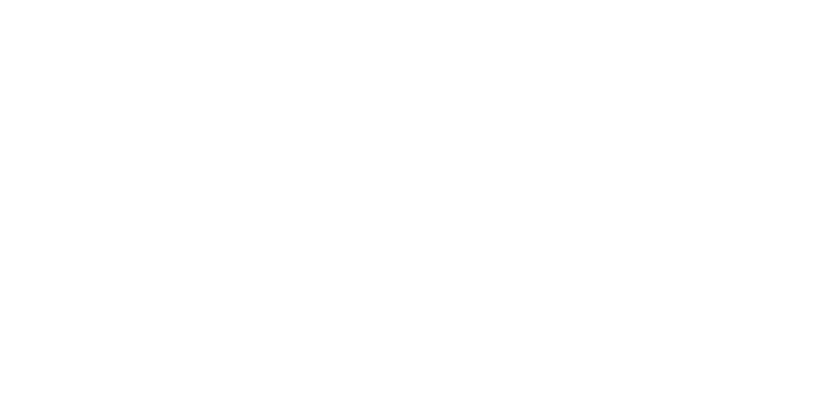 EVISU.png