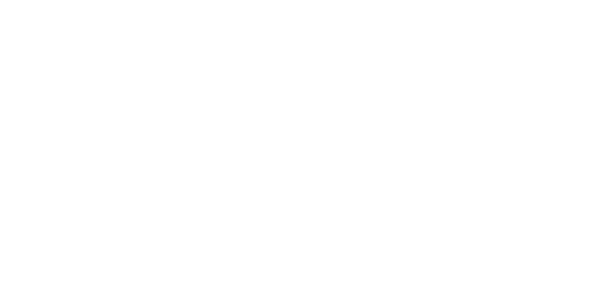 HAVAIANAS.png