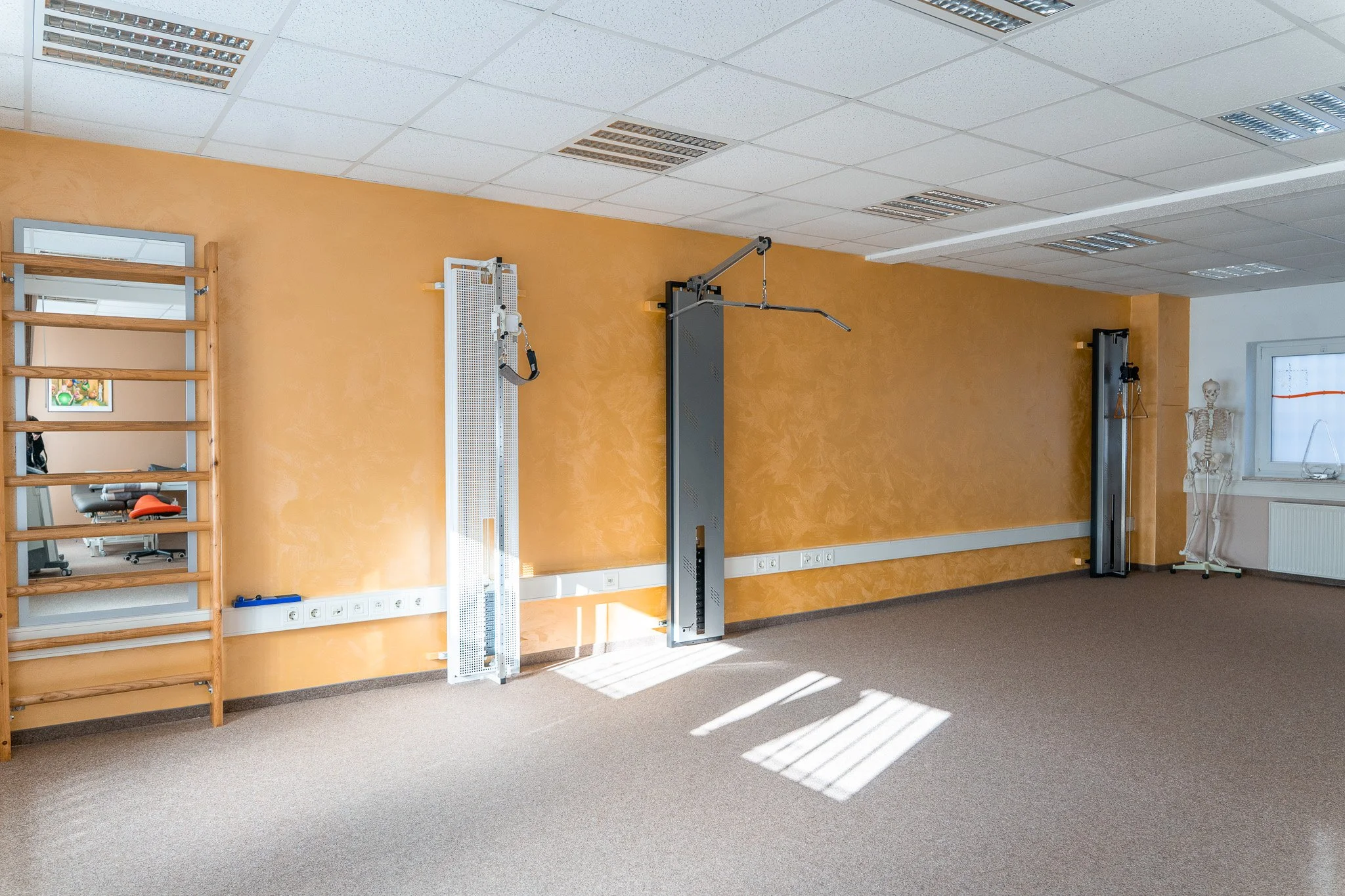 Empty physical therapy or exercise room with equipment, mirror, skeleton model, and sunlight coming through a window.