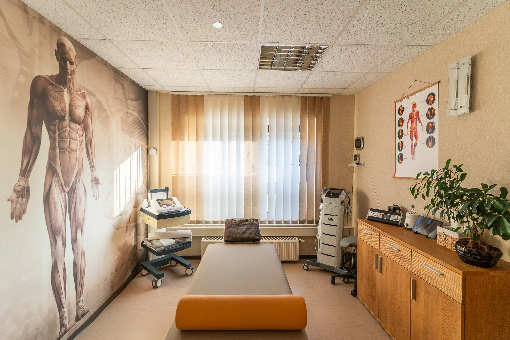 A medical examination room with a treatment table, large human anatomy mural on the wall, medical equipment, and a wooden cabinet with a potted plant.