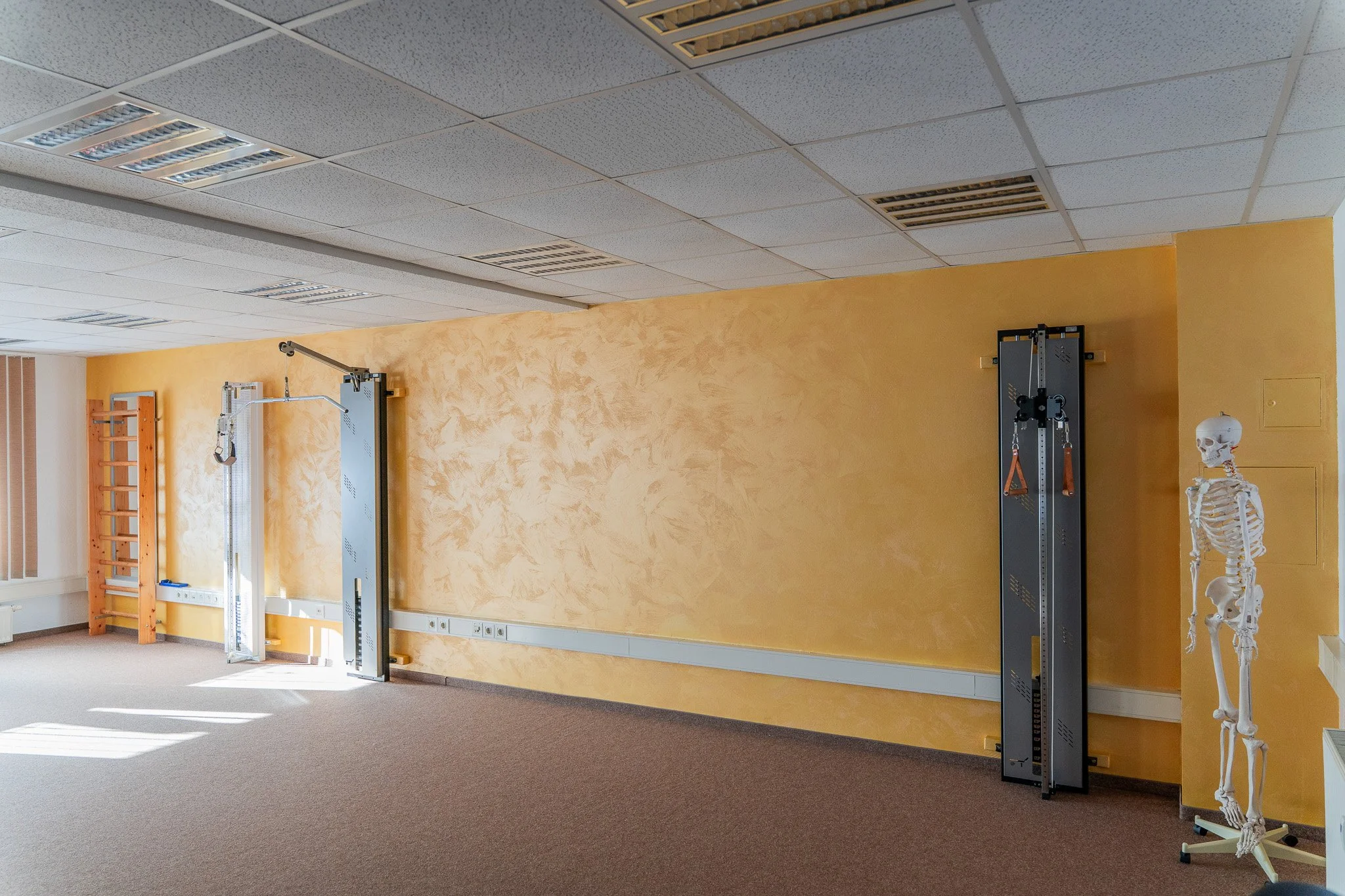 Empty physical therapy or rehabilitation room with yellow textured wall, exercise equipment, a skeleton model, and sunlight coming through window blinds.