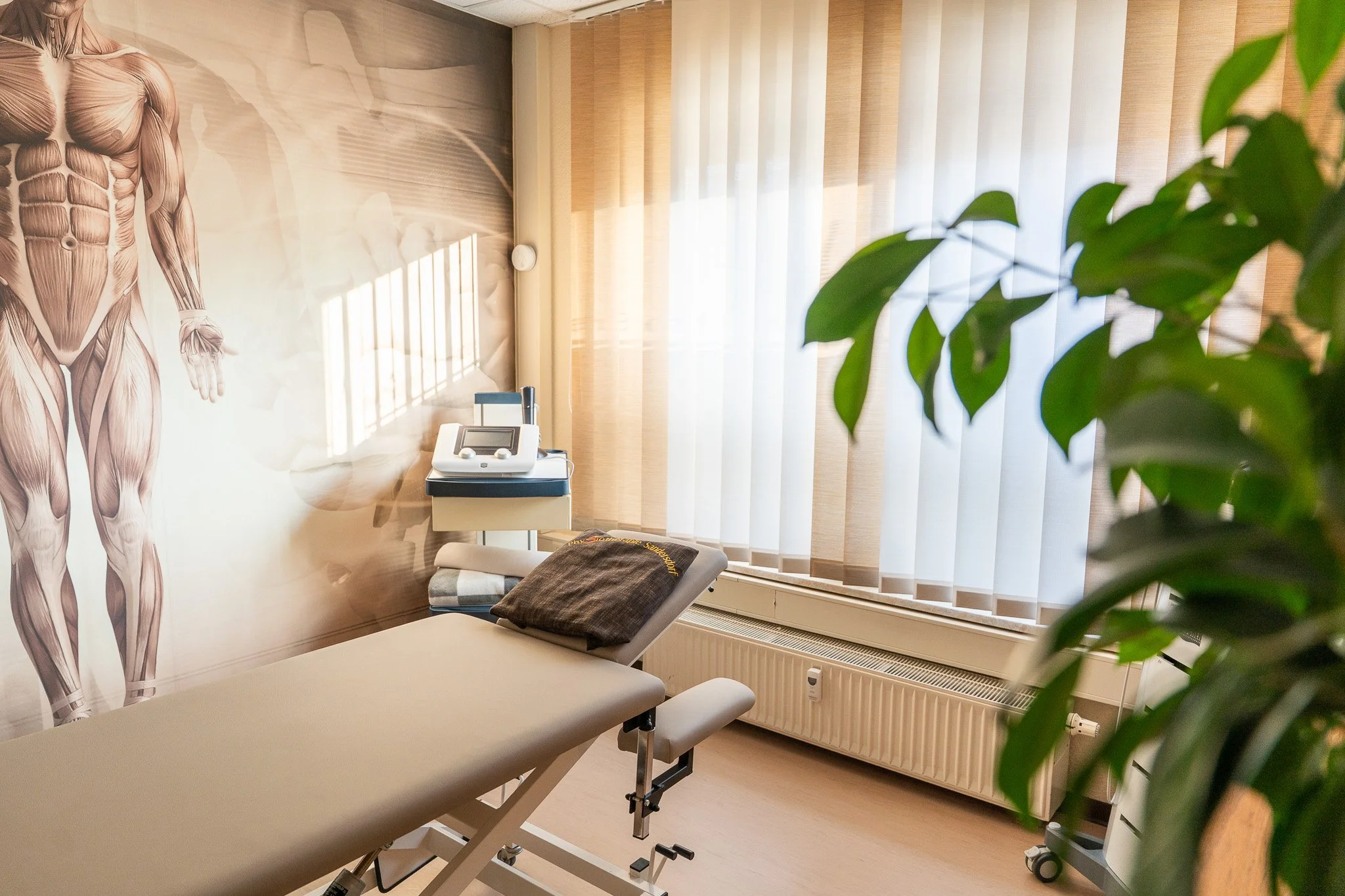 Medical examination room with an adjustable beige medical table with a brown pillow on it, a wall mural of human muscular anatomy, a window with vertical blinds, a radiator beneath the window, and a plant partially blocking the view.