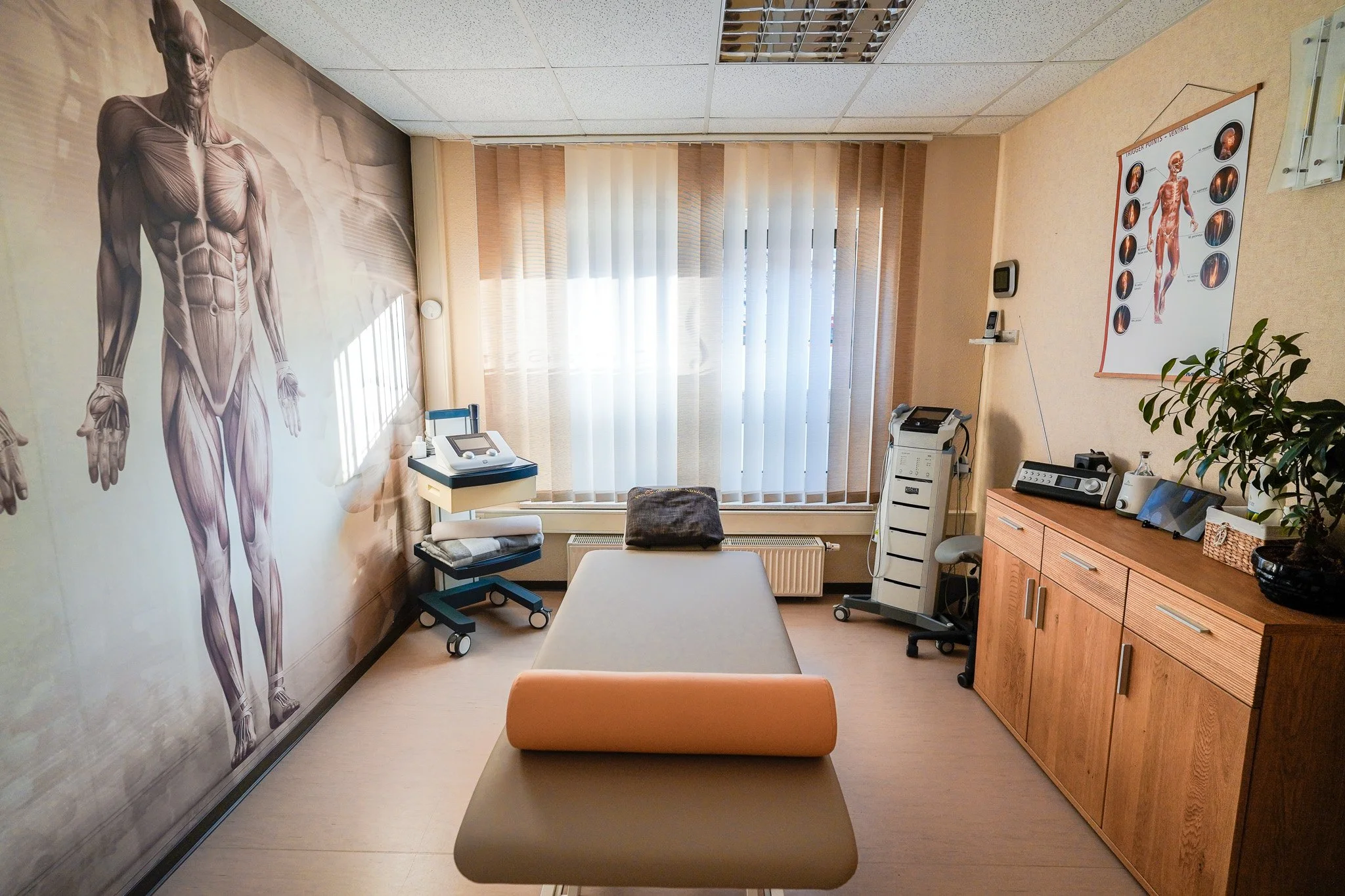 Exam room with a beige medical examination table, a large anatomical muscle diagram on the left wall, and medical equipment on the right side including a printer, tissue box, and a plant, illuminated by natural light through vertical blinds.
