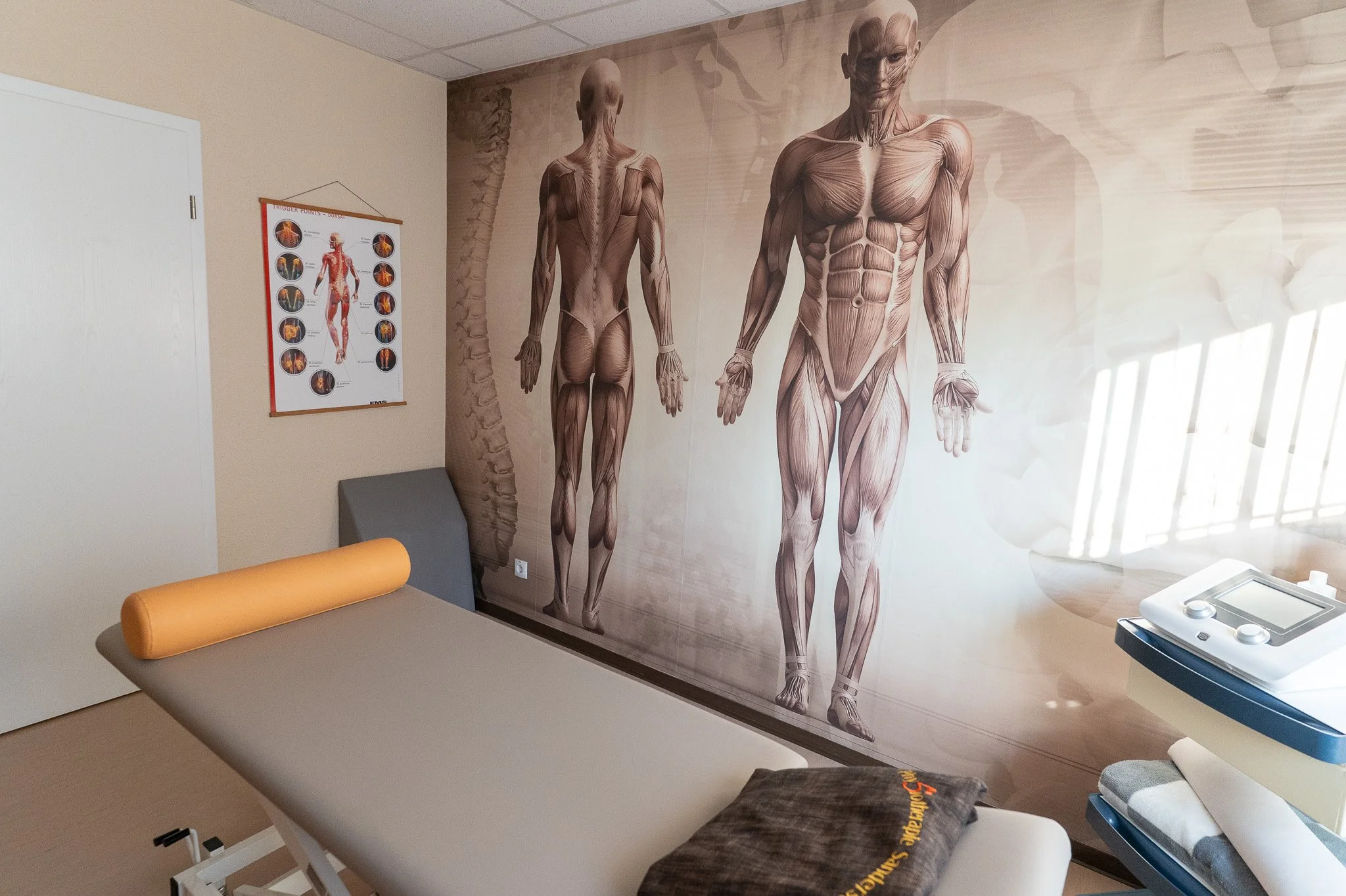 Medical examination room with anatomical muscle posters on the wall, an examination bed with a cylindrical pillow, and medical equipment on a stand.