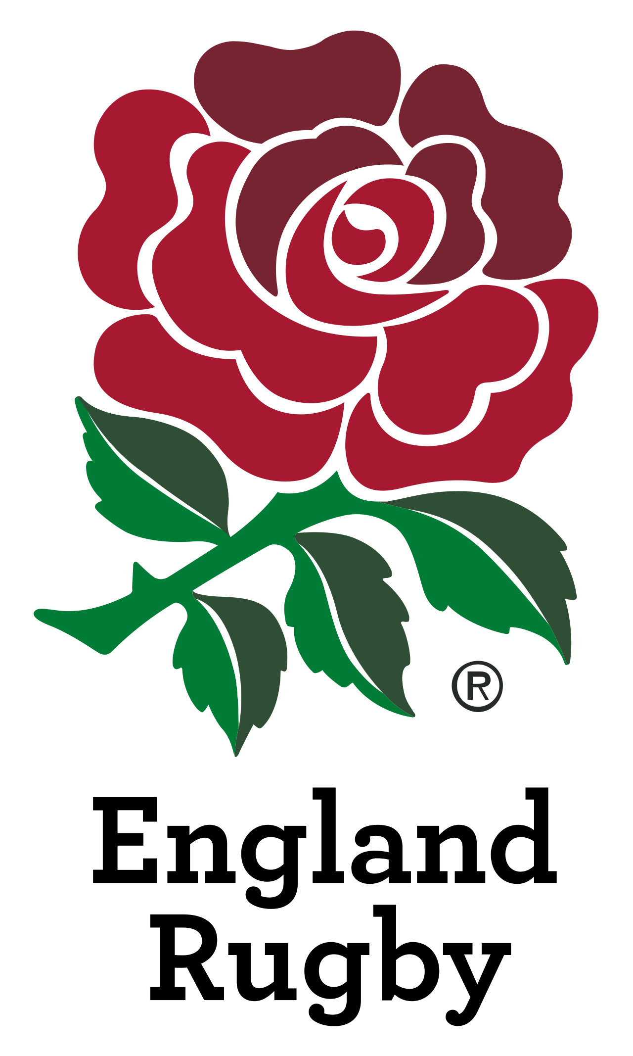 England_rugby_logo.svg.png