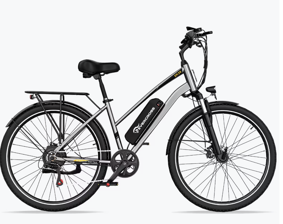 Bicycle- a great way to travel in Europe