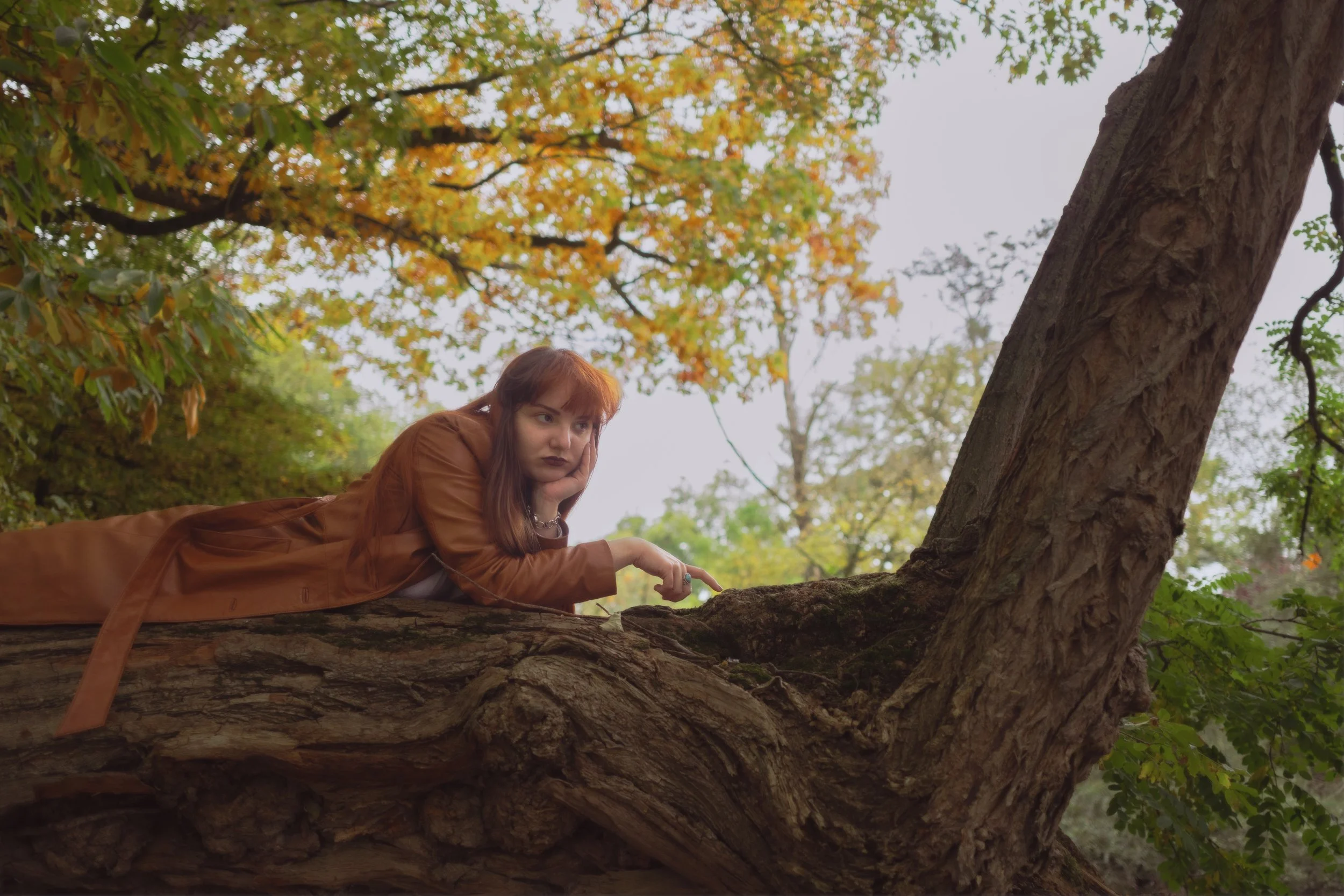 Parc d'Estaimbourg-4.jpg