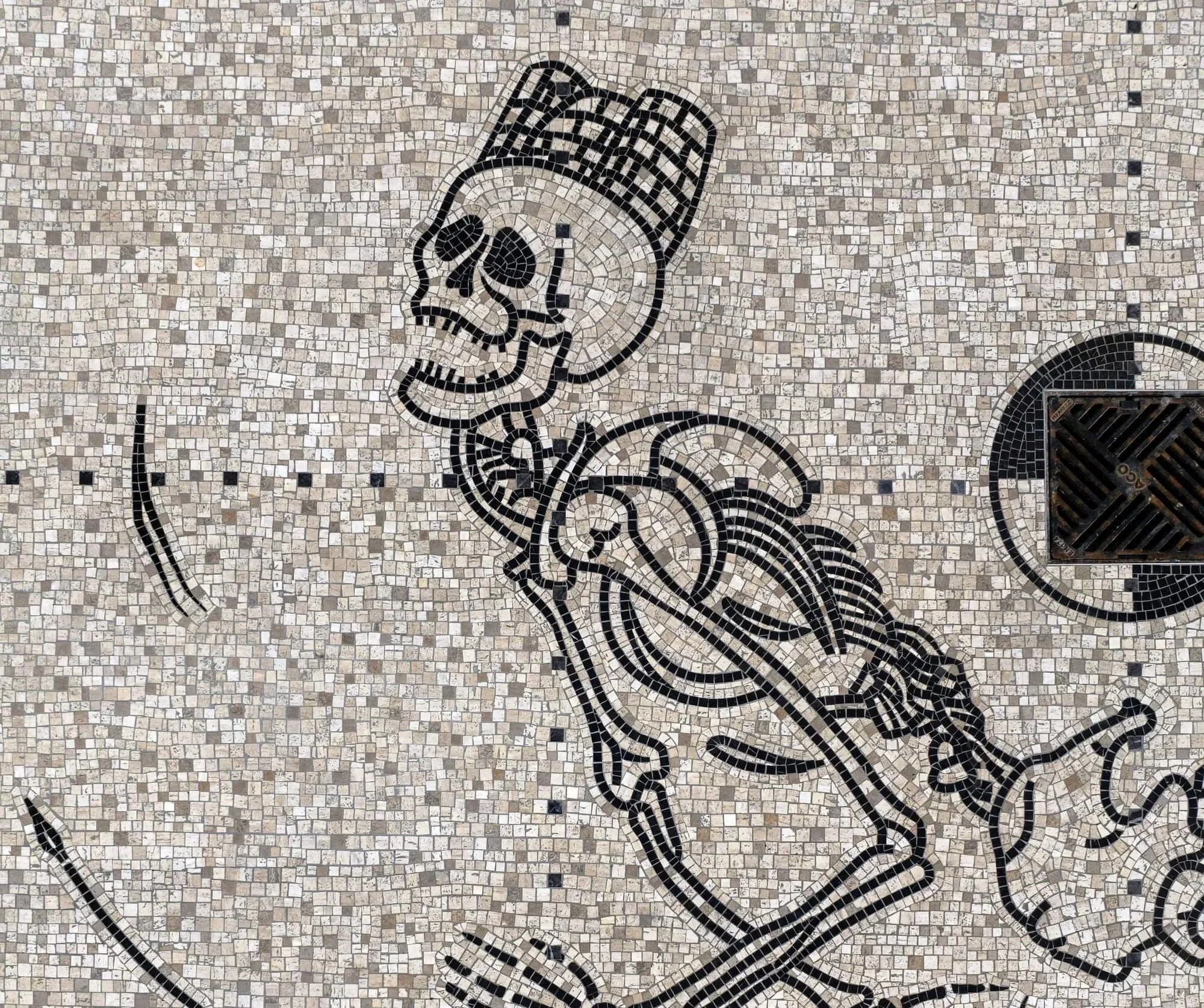 "The Tale of the Scale and the Skull" by Alona Rodeh