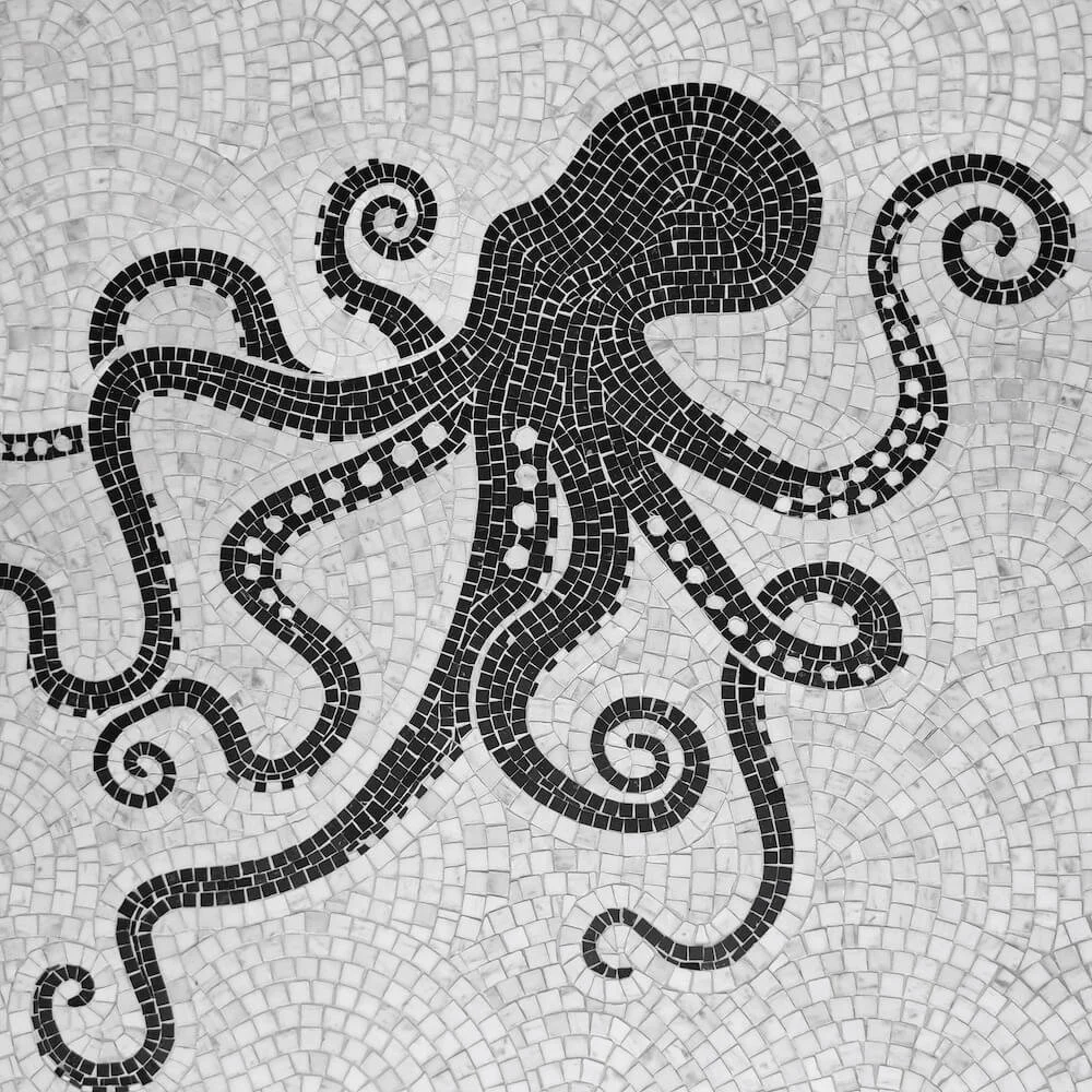 Willkommen mit Oktopus