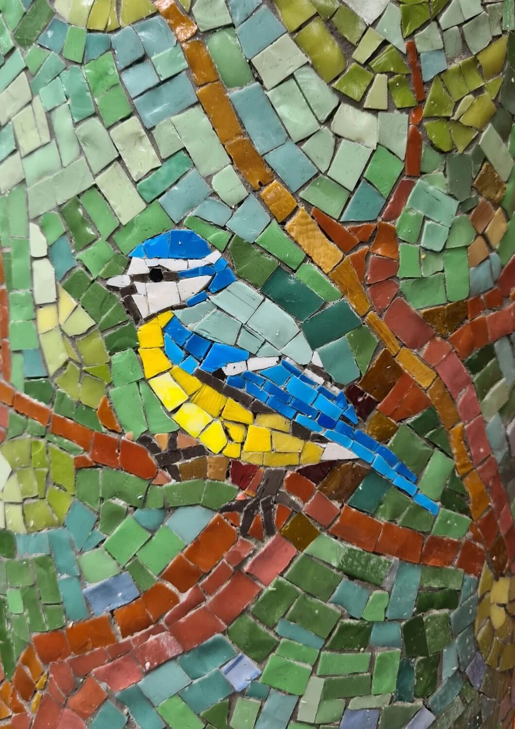 Birds in the Bushes