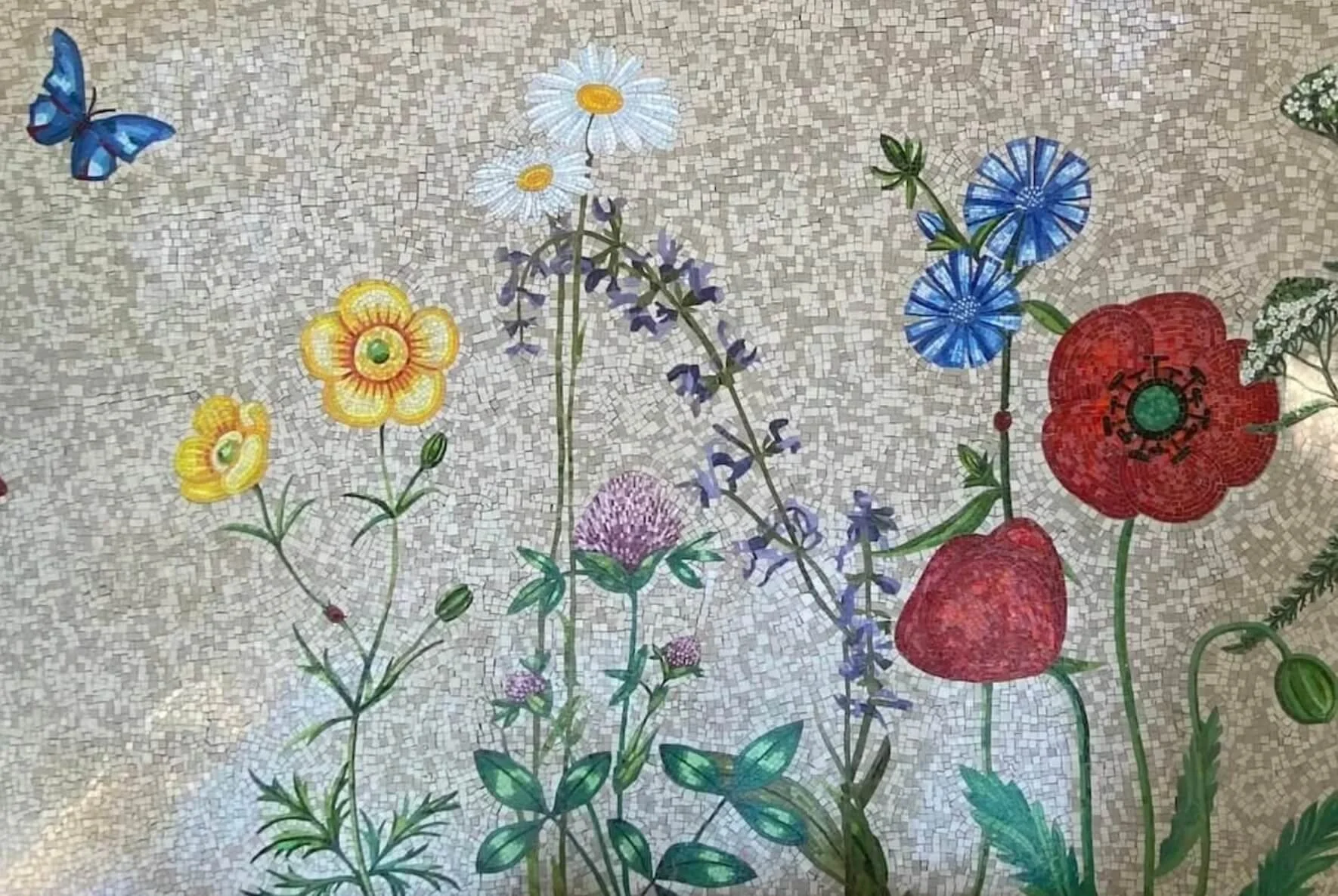 Bunte Blumenwiese