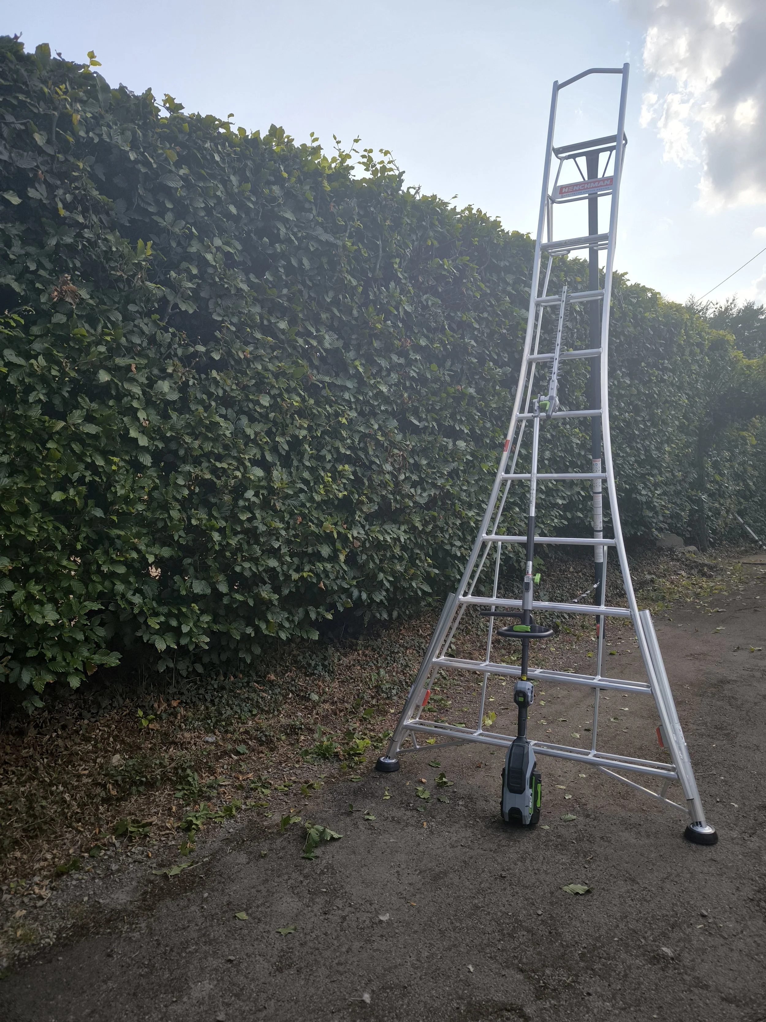 A tall aluminum extension ladder leaning against a bush, with a cordless leaf blower placed on the ground nearby, on a dirt surface outdoors under a partly cloudy sky.