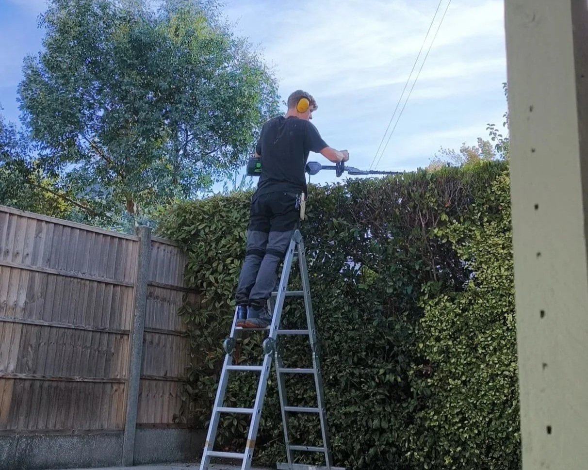 Gardener trimming a garden hedge.