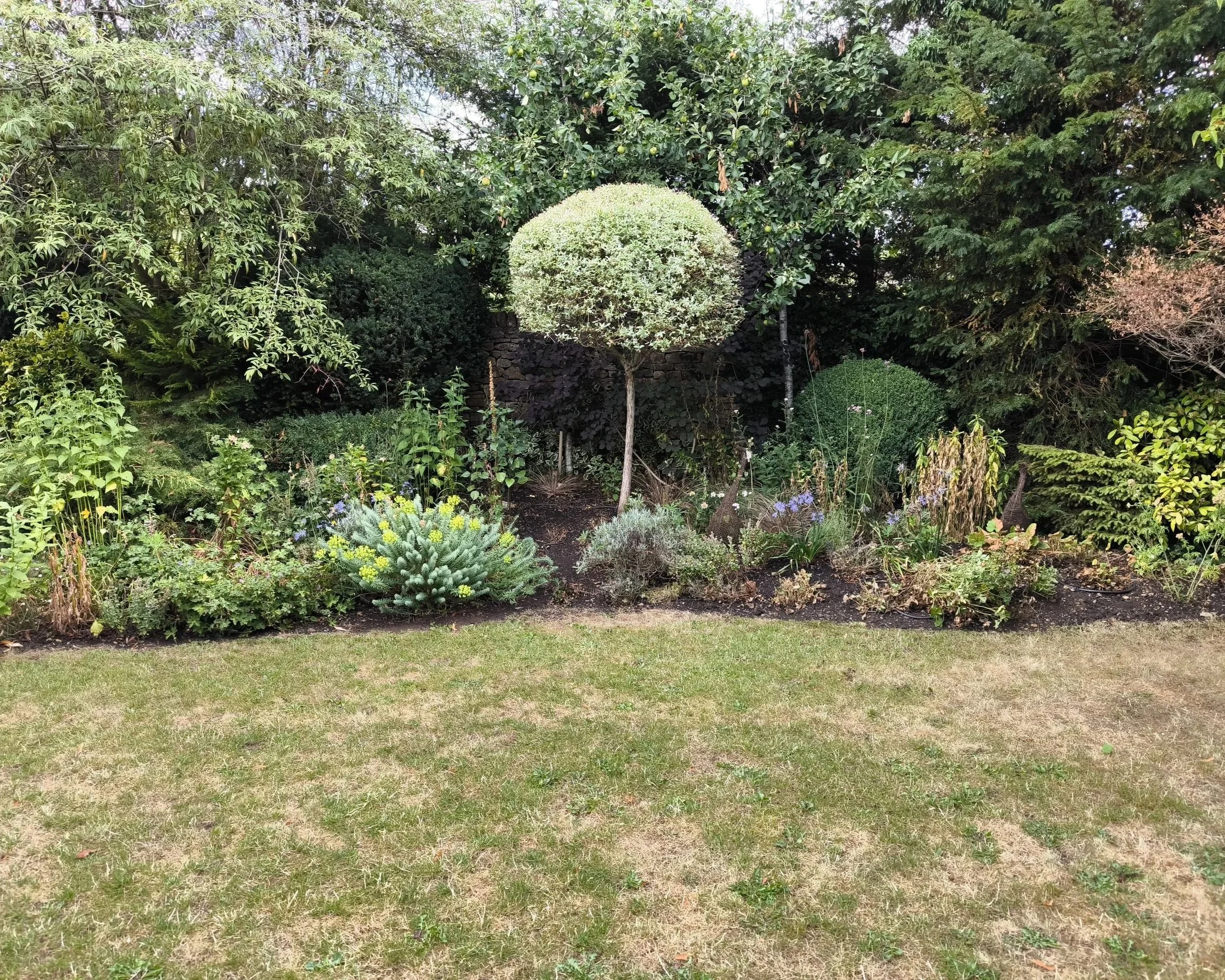Freshly cut grass and hedge surrounded by a colourful garden border.