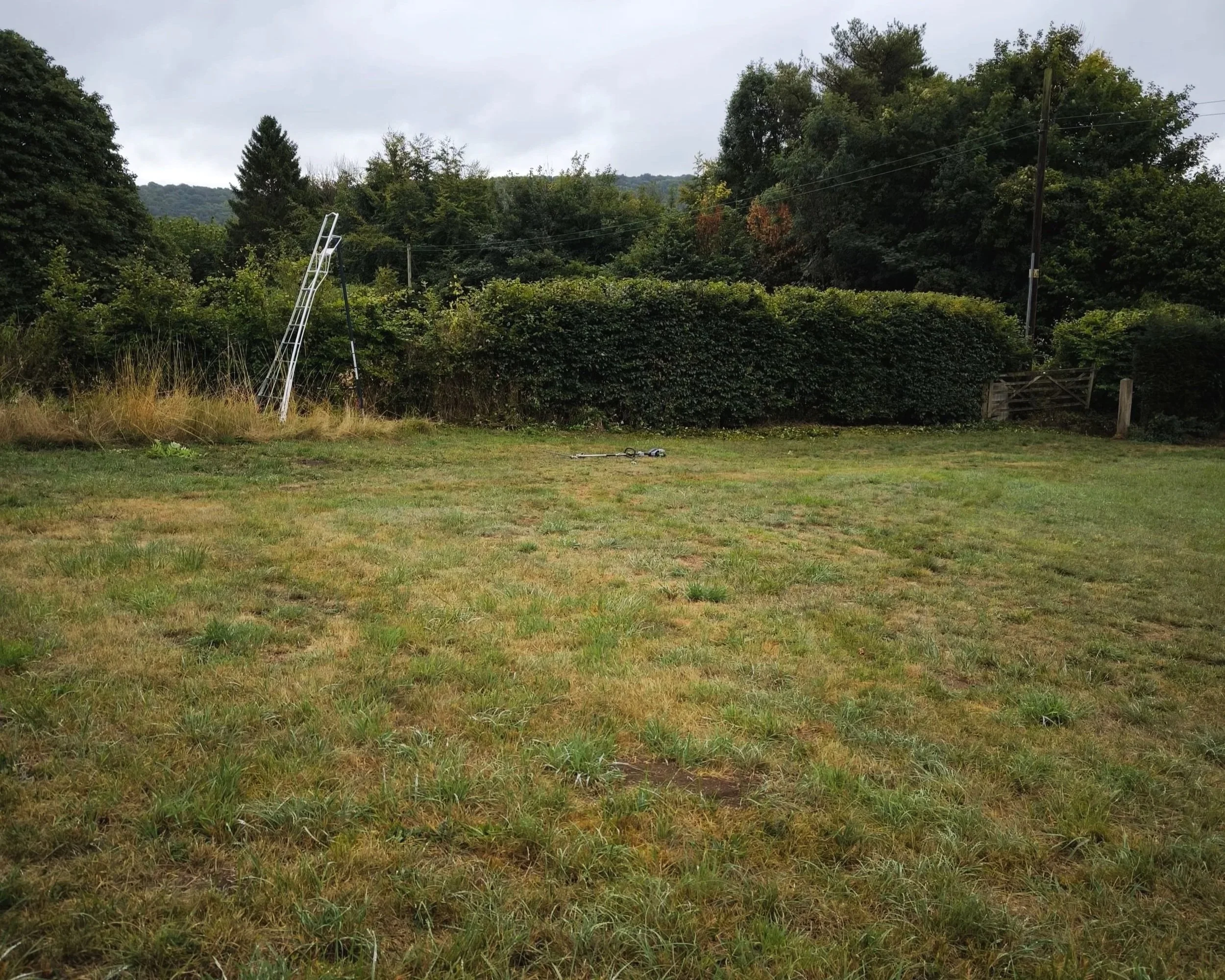 Freshly cut grass and trimmed hedge.