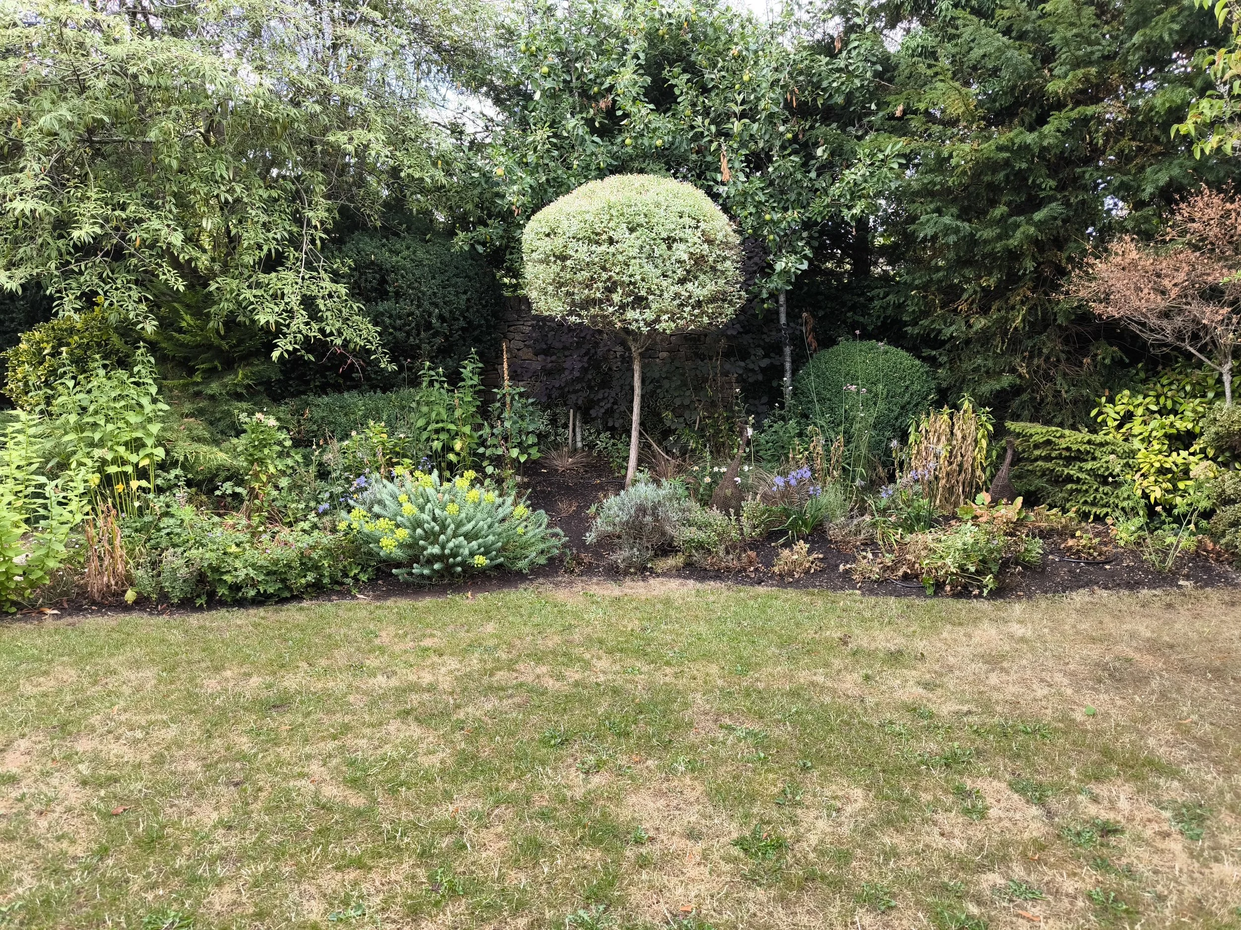 Trimmed green hedge in a landscaped garden