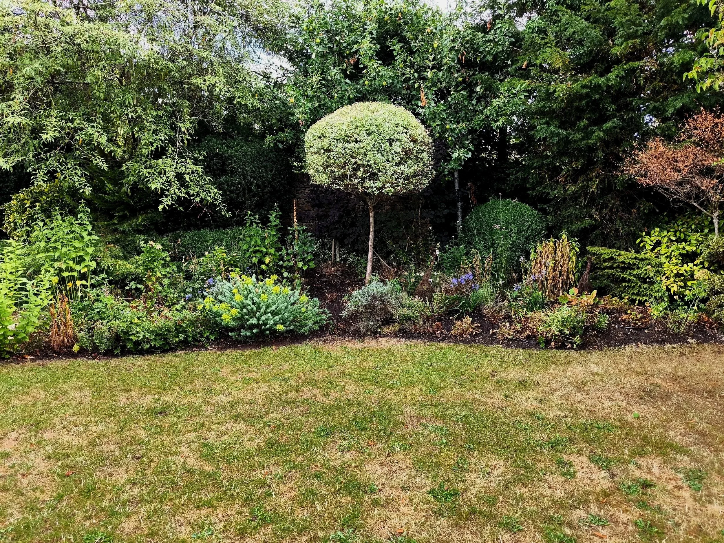 Pruned Tree In Garden With A Lawn & Flowers