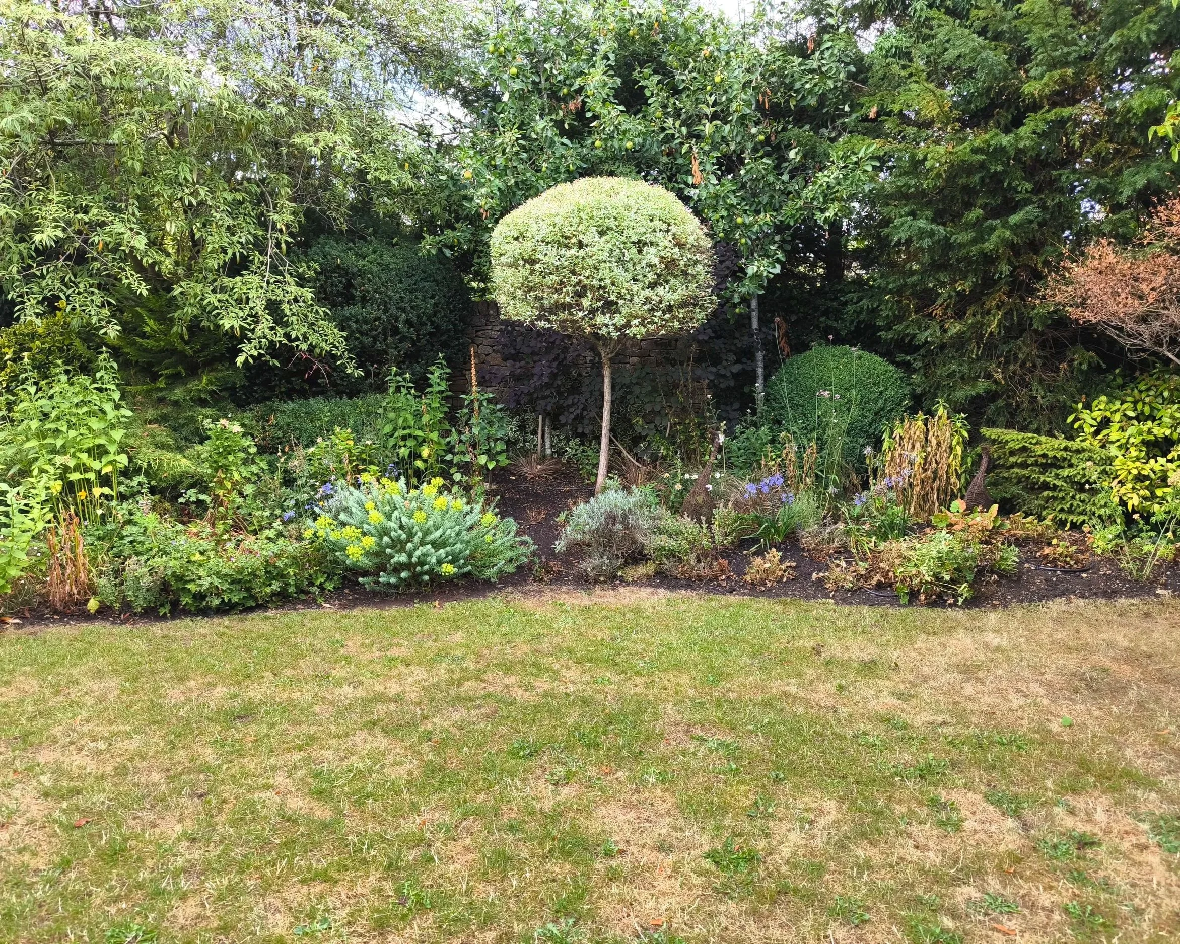 Trimmed green hedge in a landscaped garden