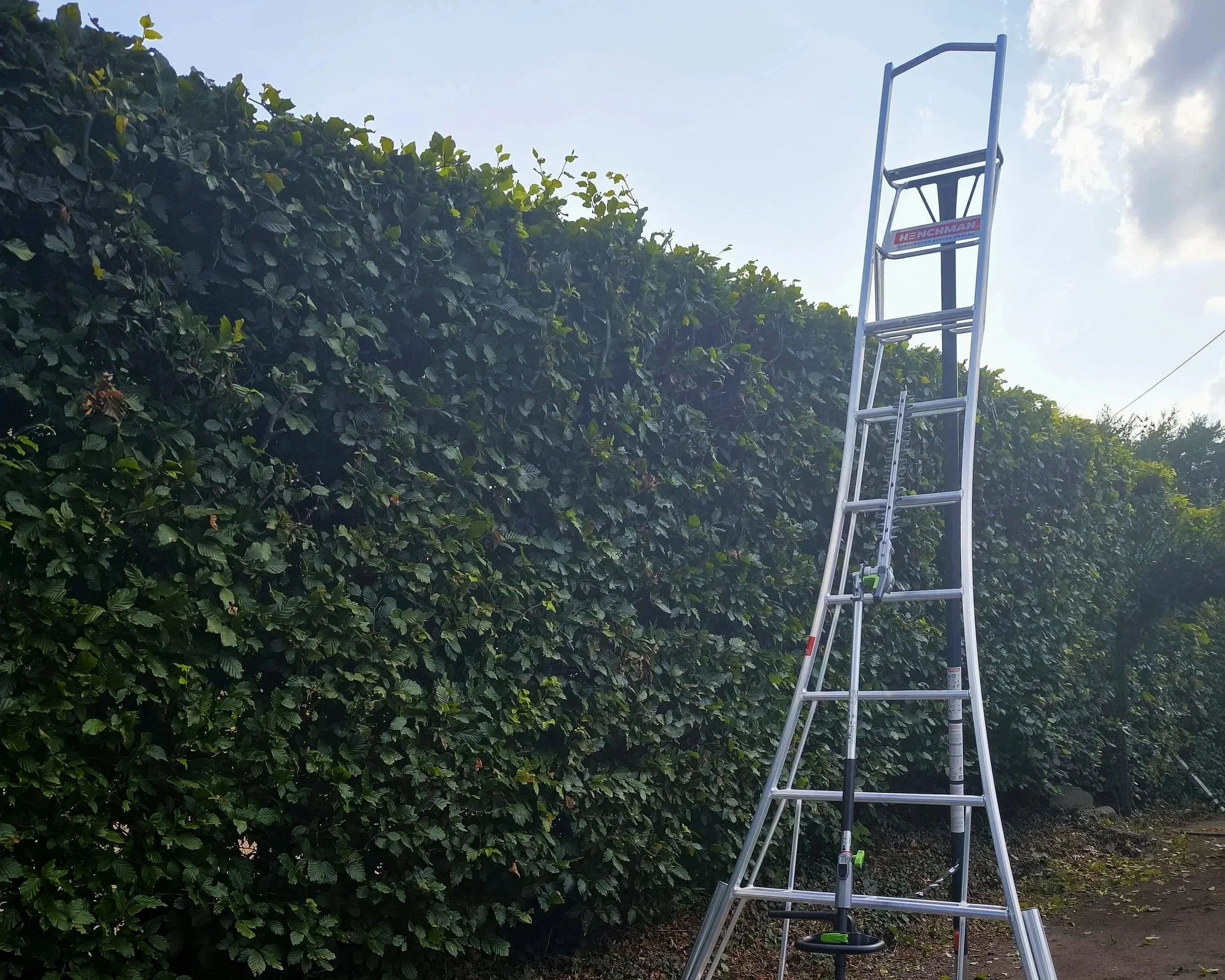 An aluminum ladder with a platform at the top standing outdoors on a dirt path next to a tall hedge of green leafy bushes under a partly cloudy sky.