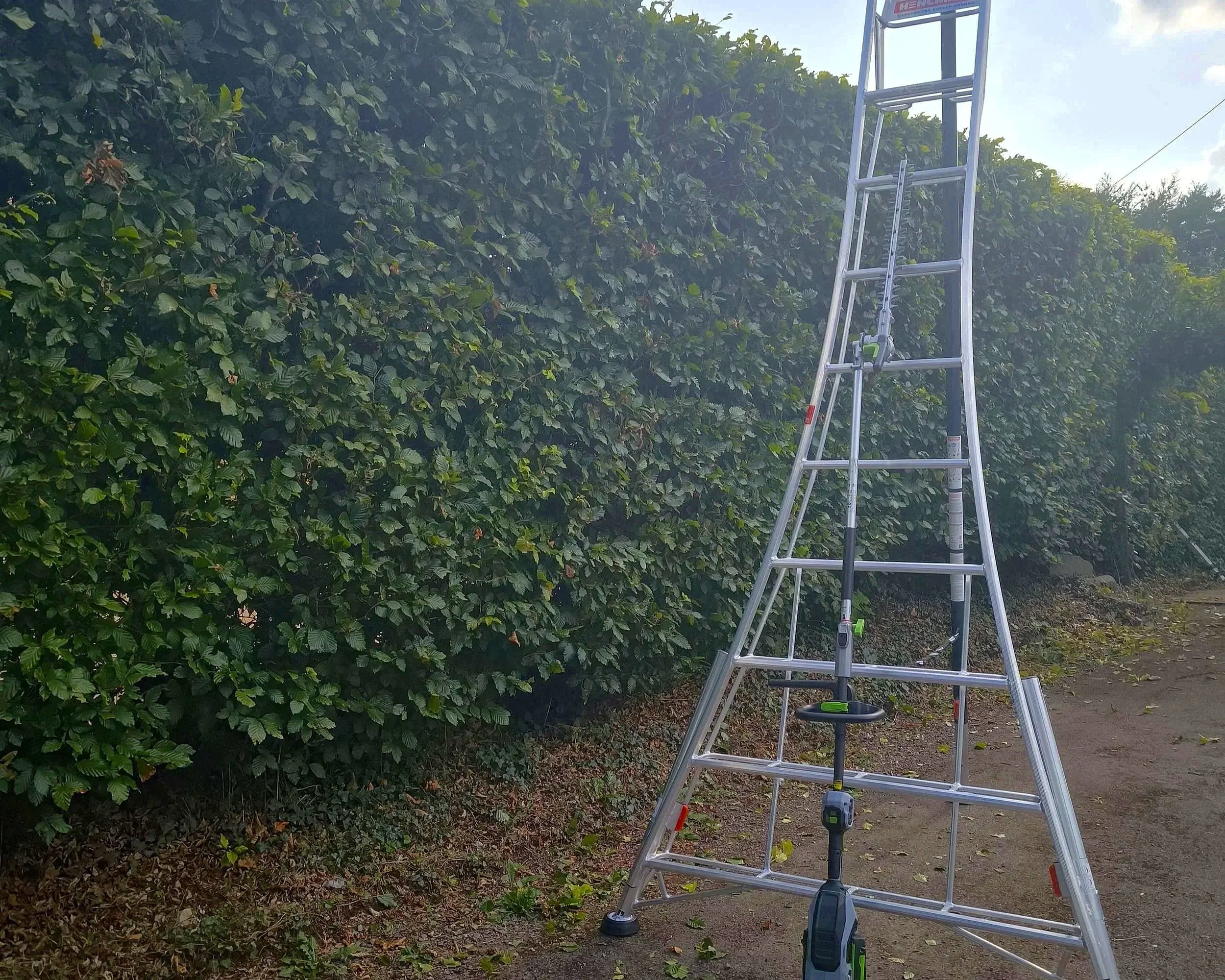 Garden hedge freshly cut and shaped