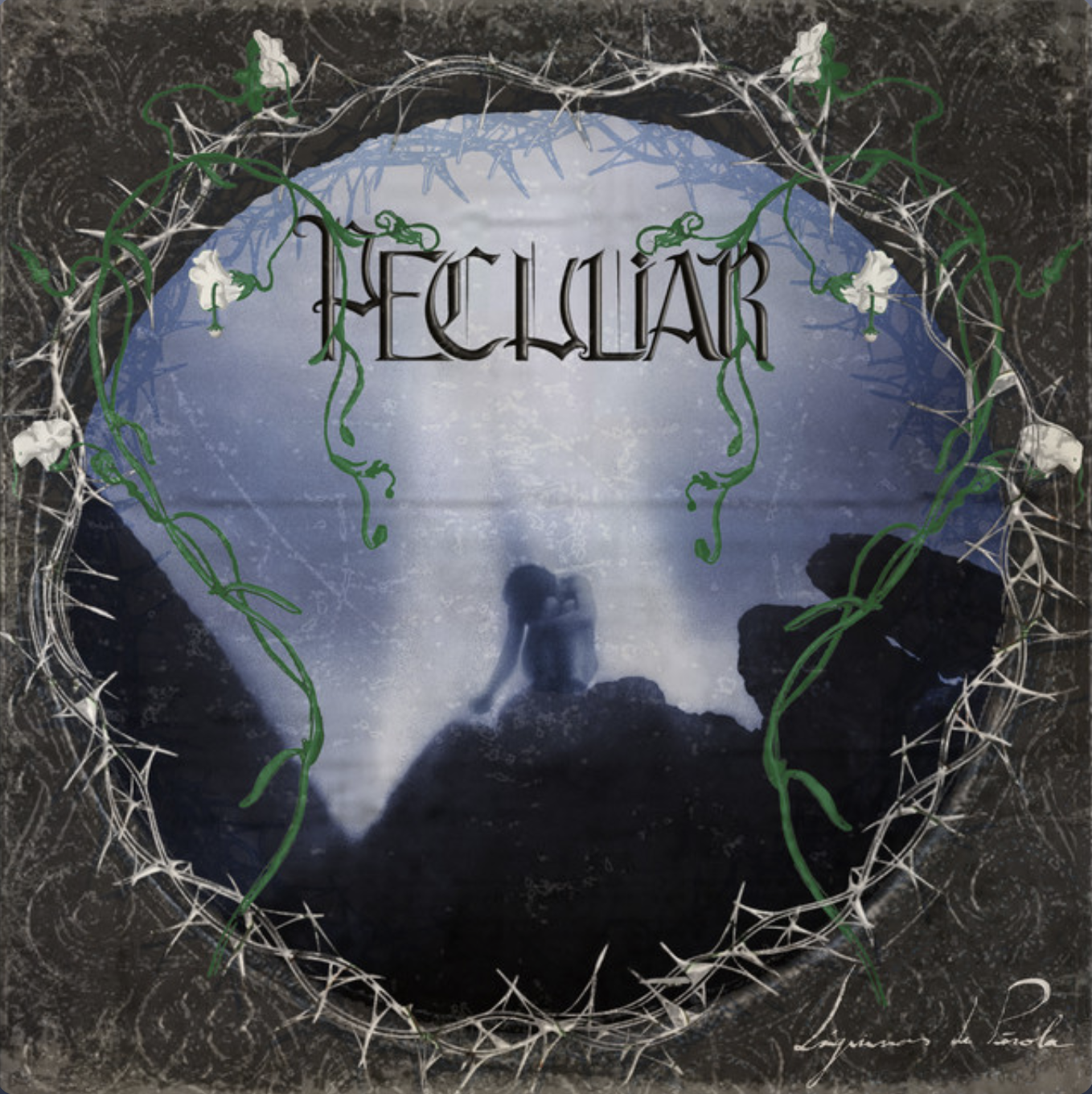 Album cover titled 'Reclamar' with a silhouette of a person sitting on a rock by water, surrounded by a barbed wire and plant frame, and a cloudy, blue sky background.