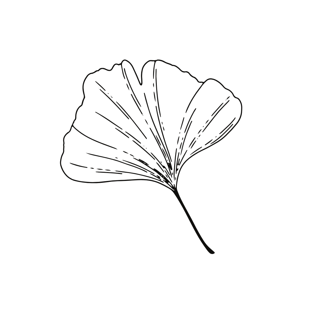 Stilisierte Illustration eines Ginkgo-Blattes
