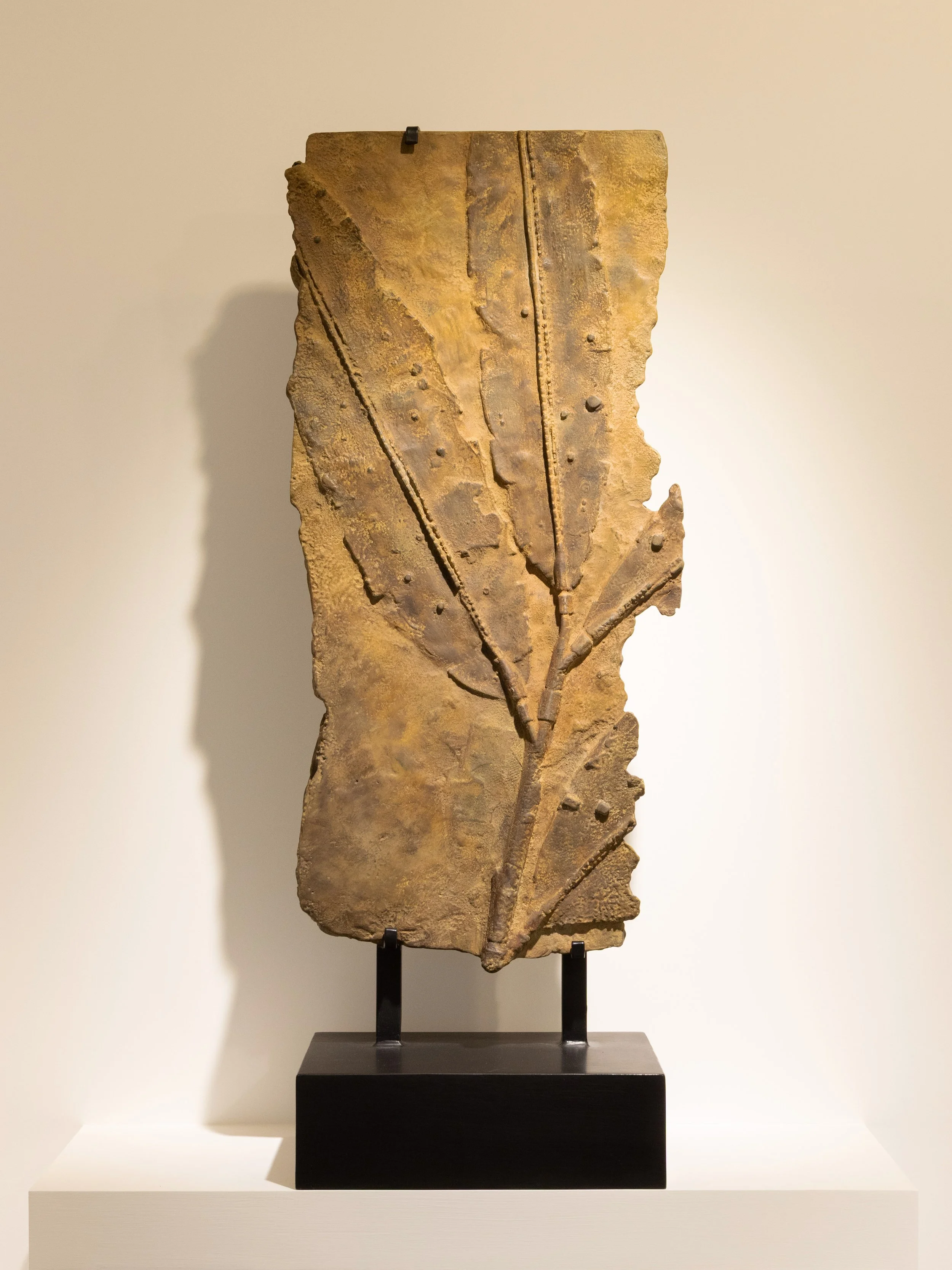 Trace Fossil- PM21_2.jpg