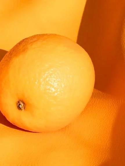 Ohoskin leather from orange and cactus sustainable