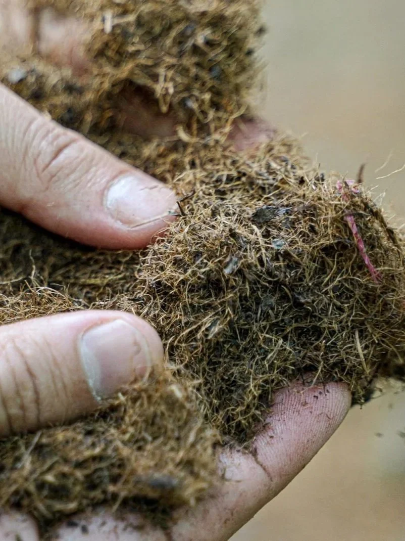 wastea sustainable leather alternative material