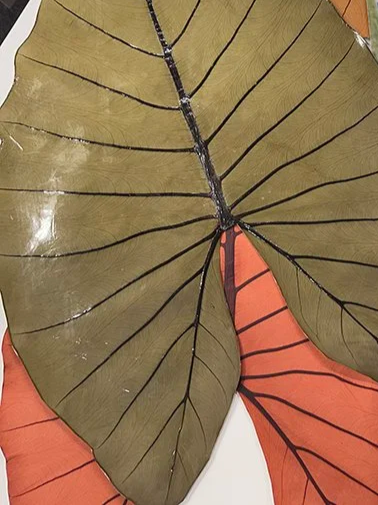 beleaf leather alternative used for bags and shoes