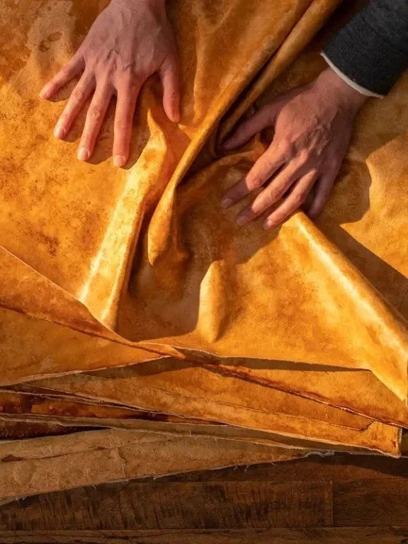 mycoworks reishi mushroom leather alternative